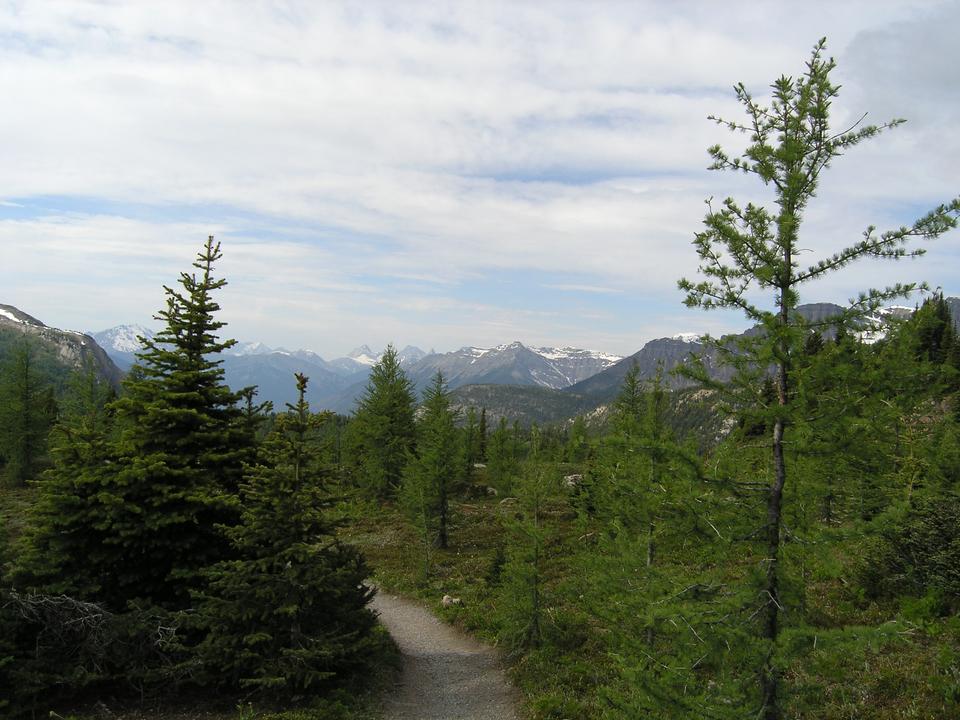 Free download high resolution image - free image free photo free stock image public domain picture  Hiking At Sunshine Meadows