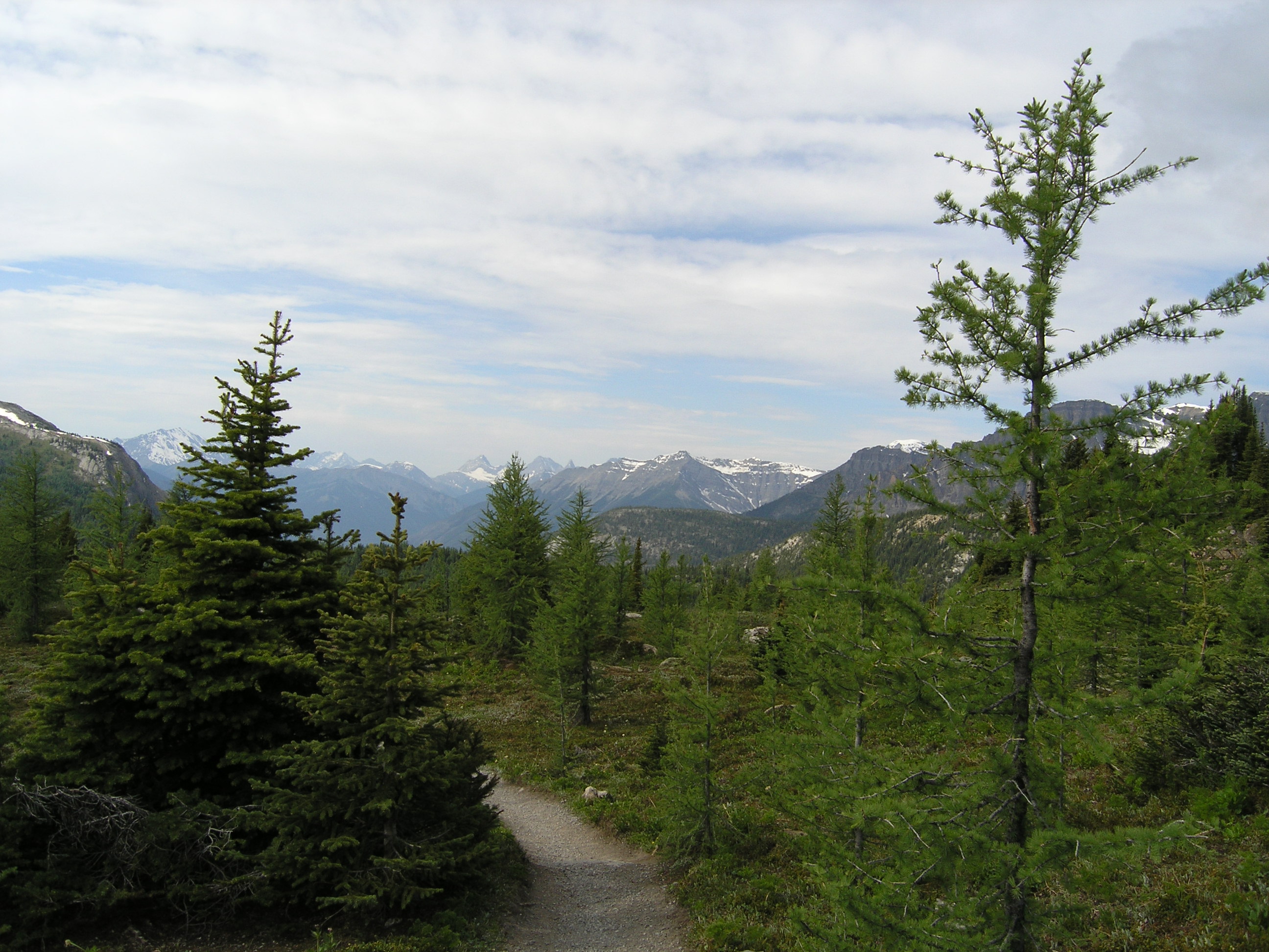 Free download high resolution image - free image free photo free stock image public domain picture -Hiking At Sunshine Meadows