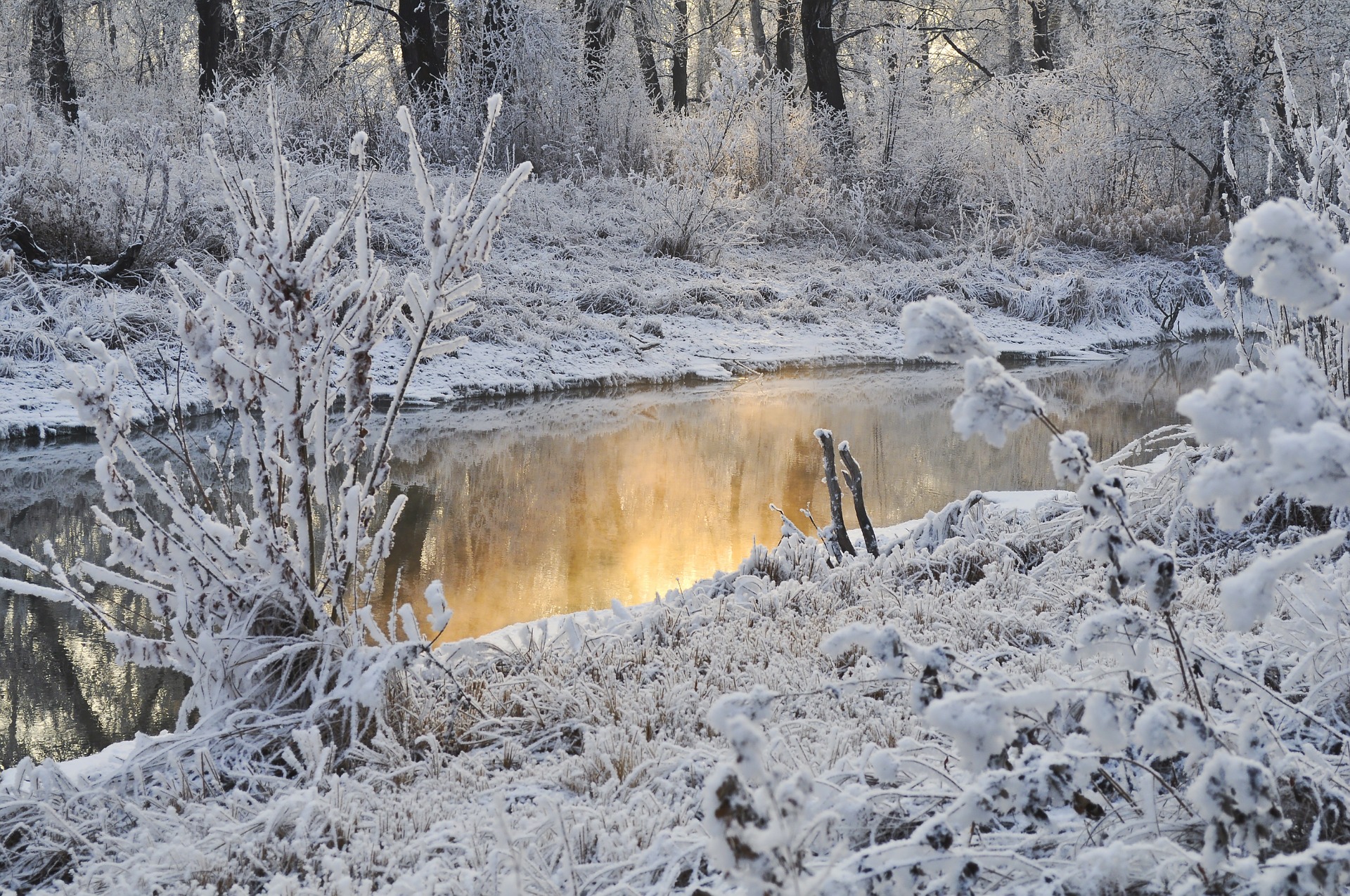 Free download high resolution image - free image free photo free stock image public domain picture -Trees in Winter Snow