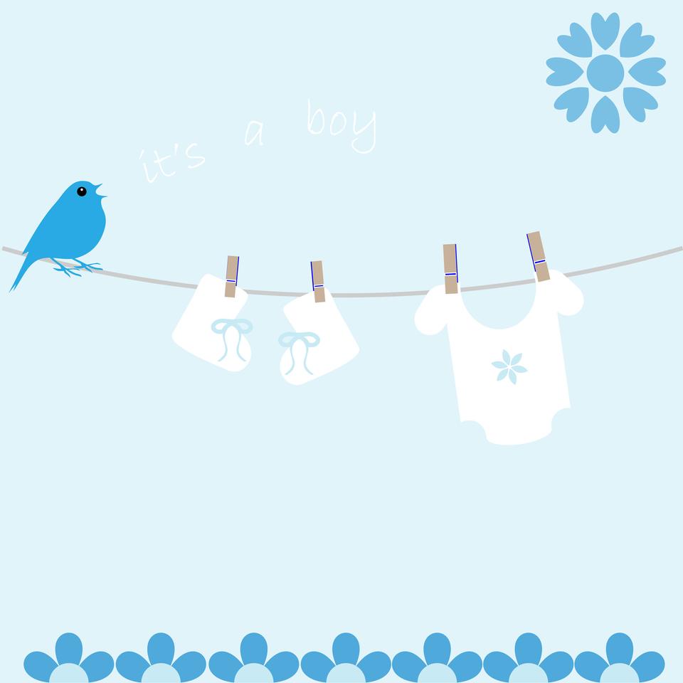 Free download high resolution image - free image free photo free stock image public domain picture  Baby Boy Card Announcement