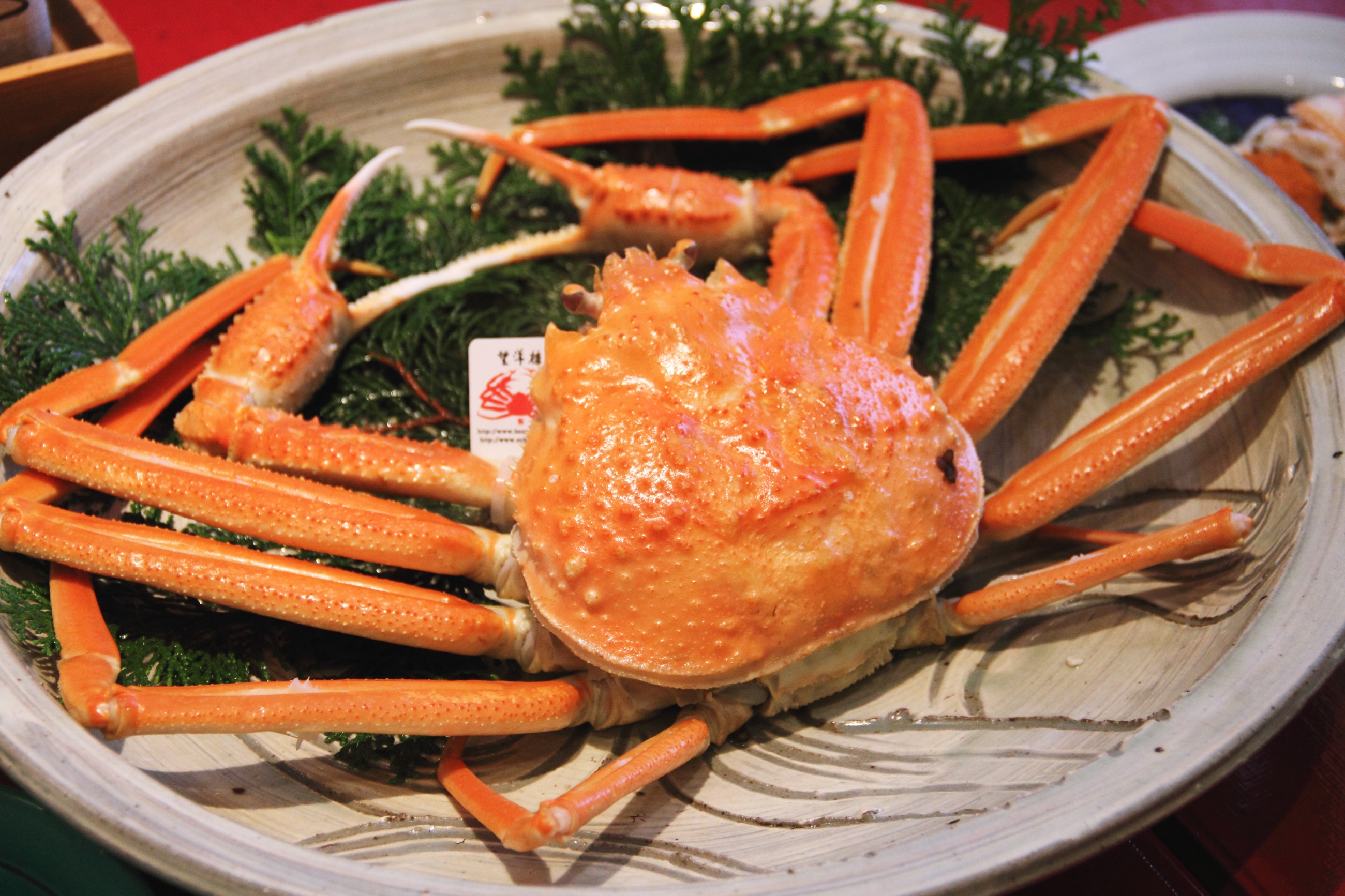 Free download high resolution image - free image free photo free stock image public domain picture -Echizen crab Sea food Mikuni Port