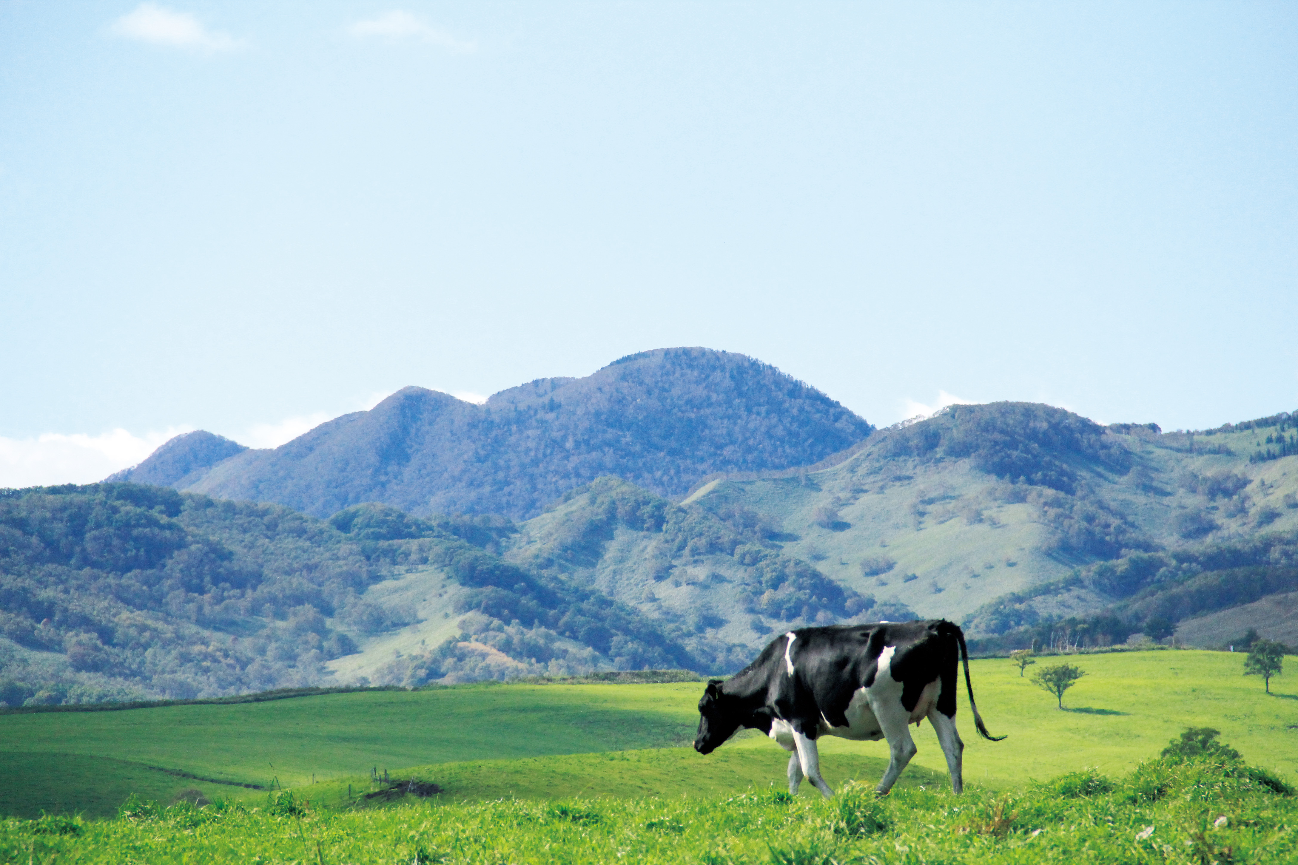 Free download high resolution image - free image free photo free stock image public domain picture -Naitai Highland Ranch Hokkaido Japan