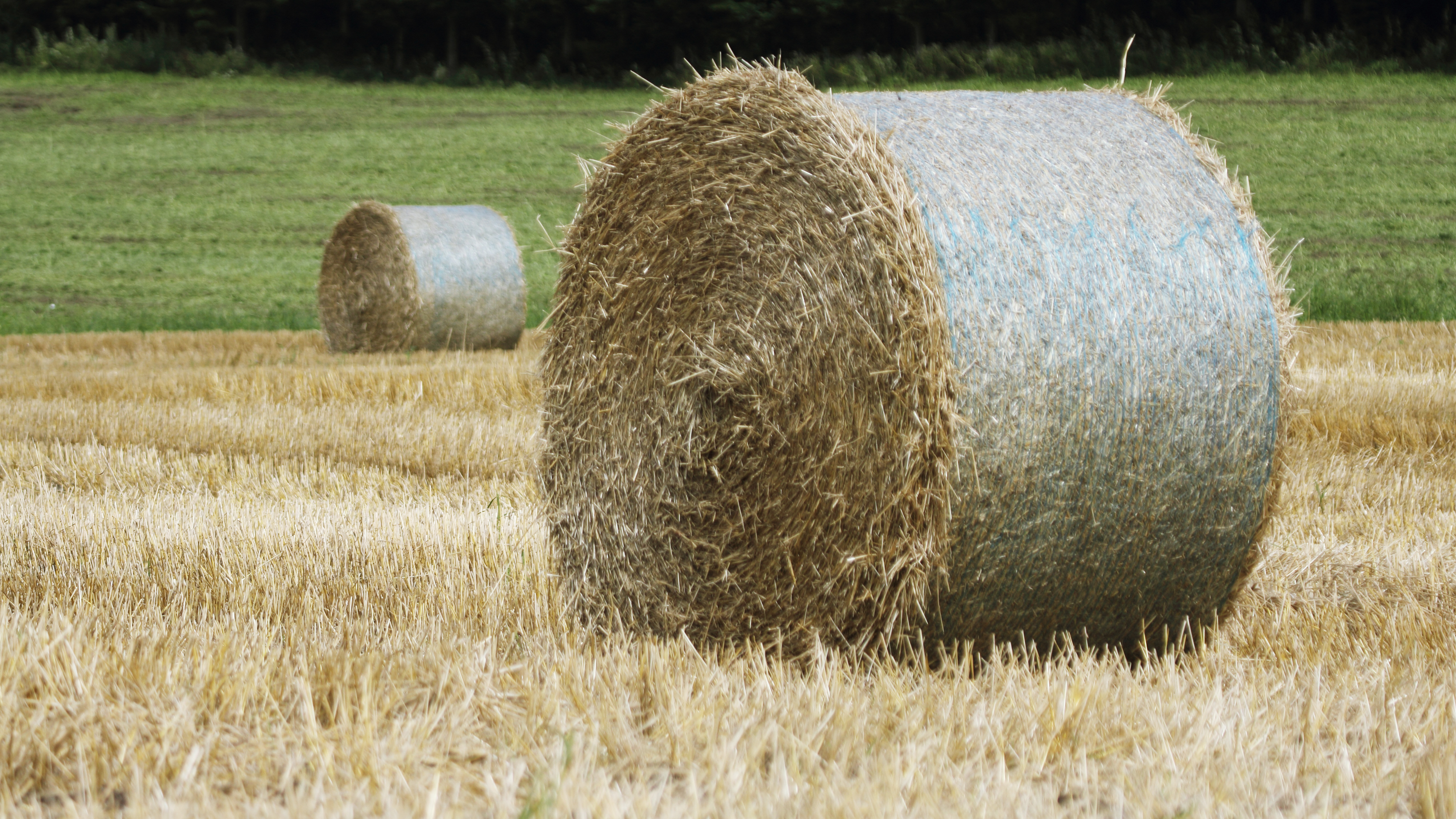 Free download high resolution image - free image free photo free stock image public domain picture -Patchwork Hill Farm