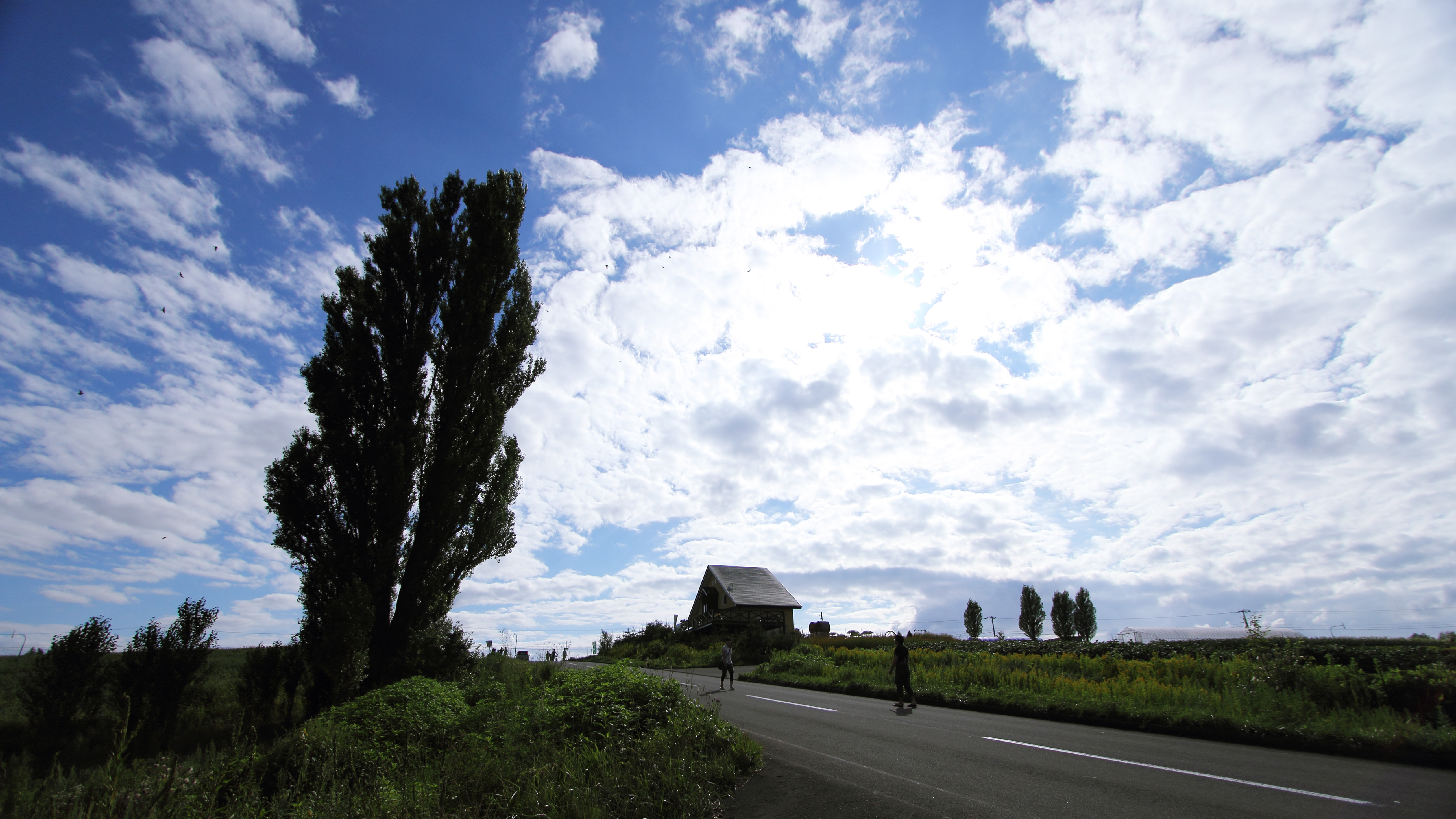 Free download high resolution image - free image free photo free stock image public domain picture -Patchwork Road Rolling Hills