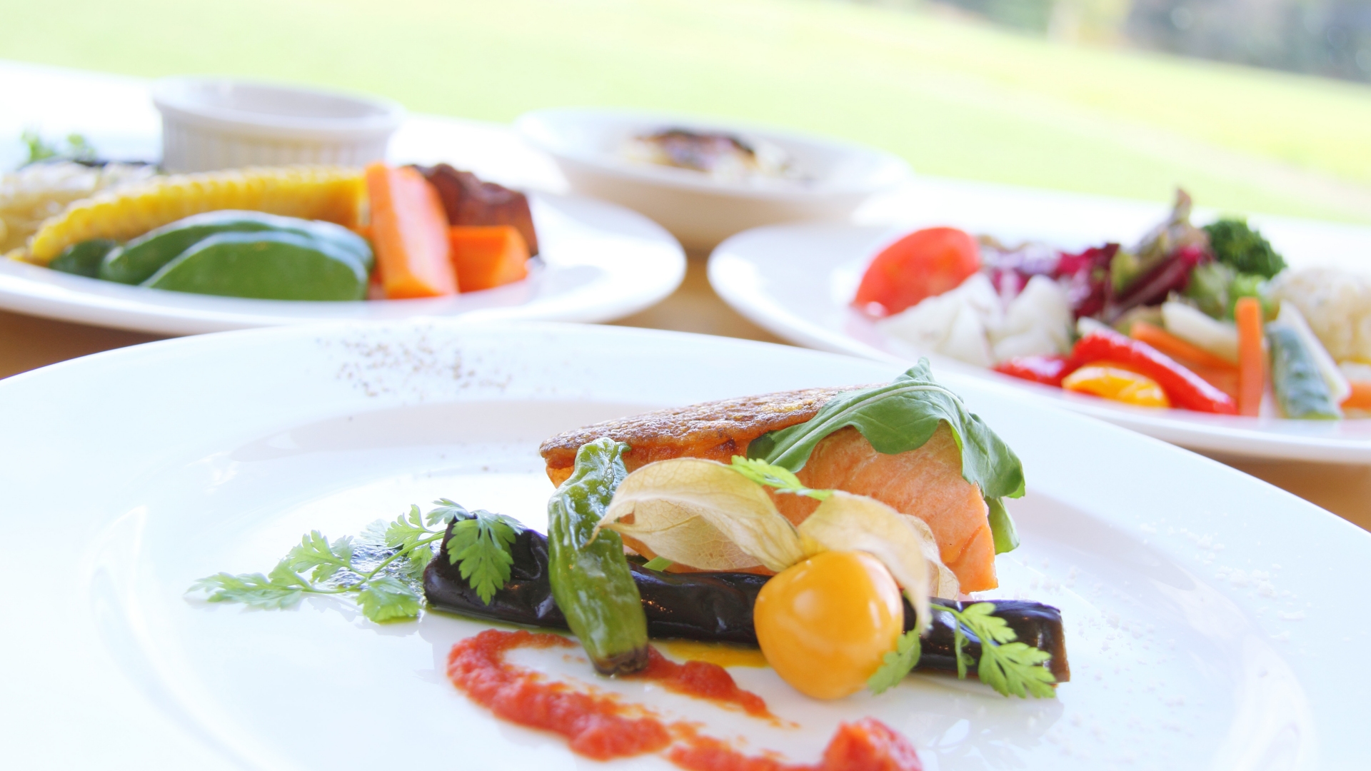 Free download high resolution image - free image free photo free stock image public domain picture -Grilled Salmon with Vegetables