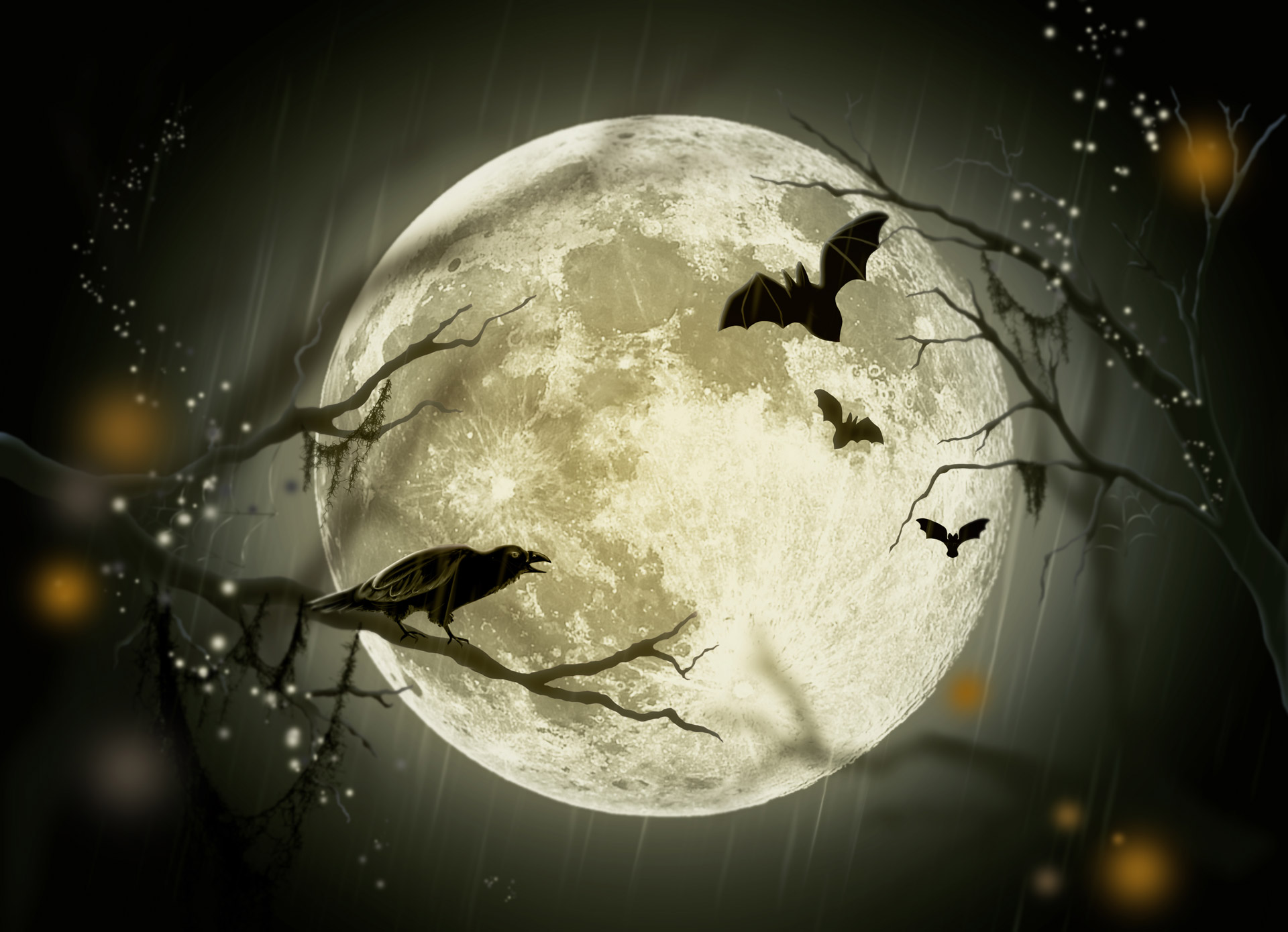 Free download high resolution image - free image free photo free stock image public domain picture -Halloween holidays mystery