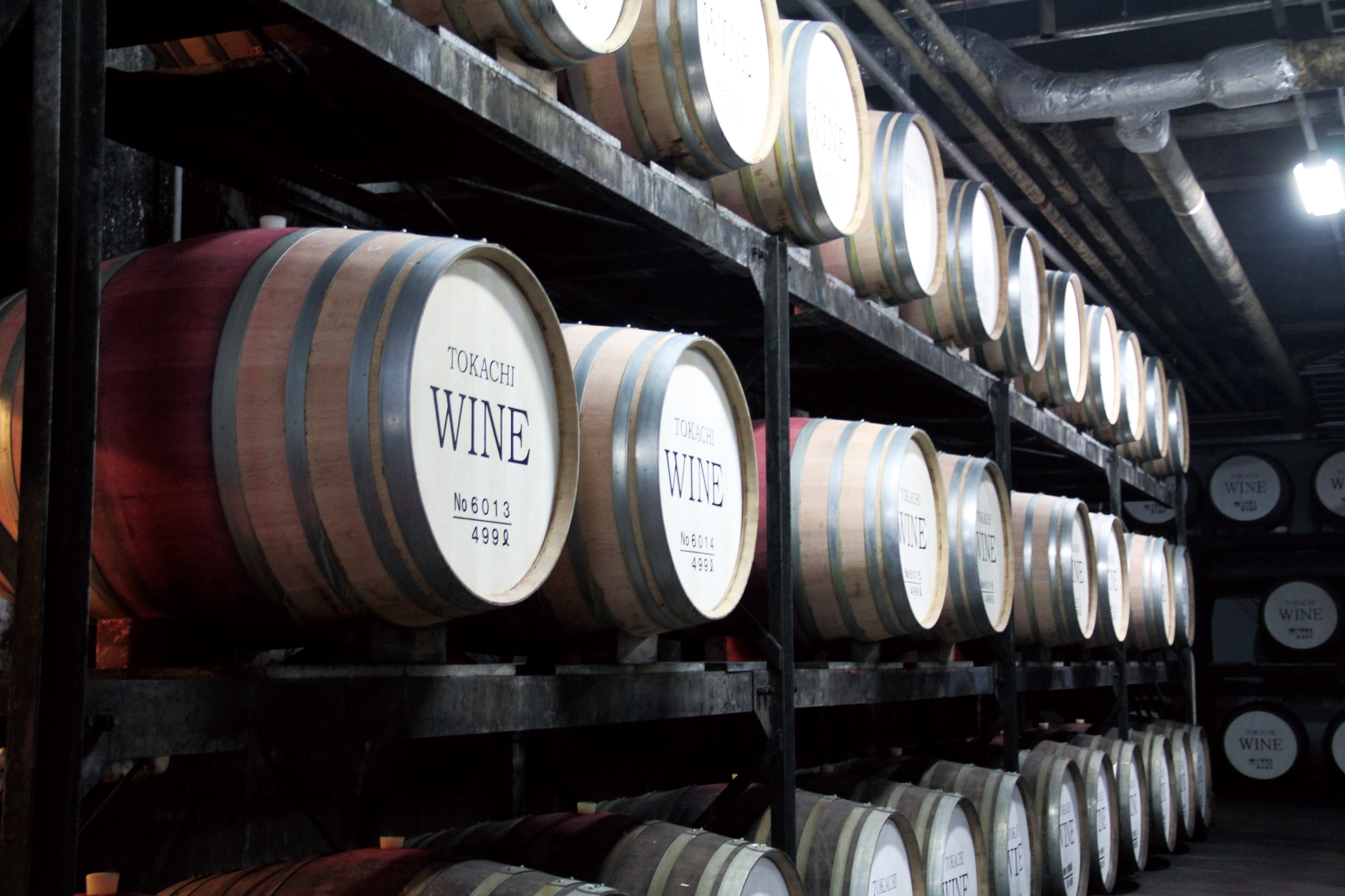 Free download high resolution image - free image free photo free stock image public domain picture -Wine barrels stacked in the old cellar of the winery