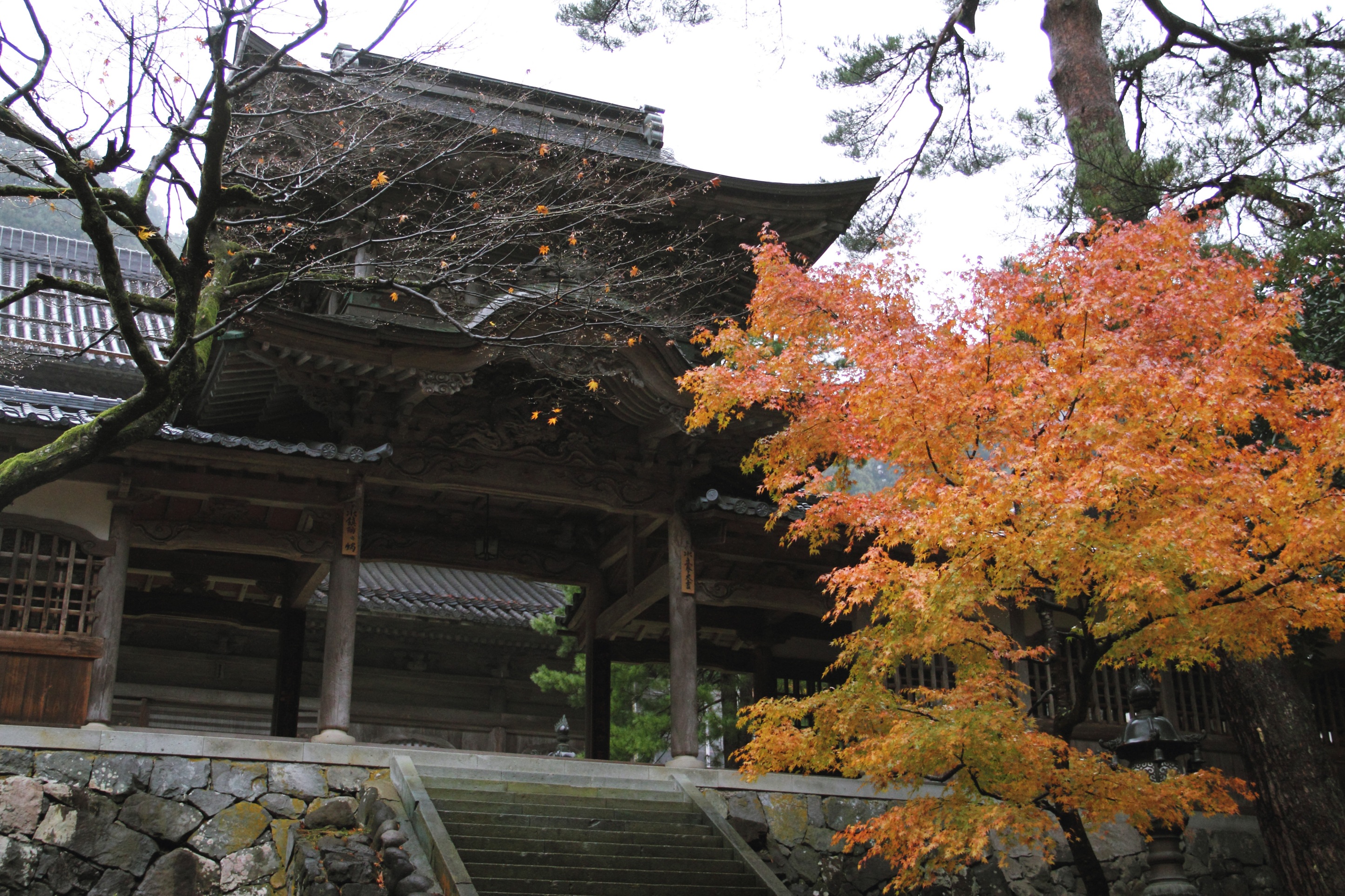 Free download high resolution image - free image free photo free stock image public domain picture -Daihonzan Eiheiji Temple Trip