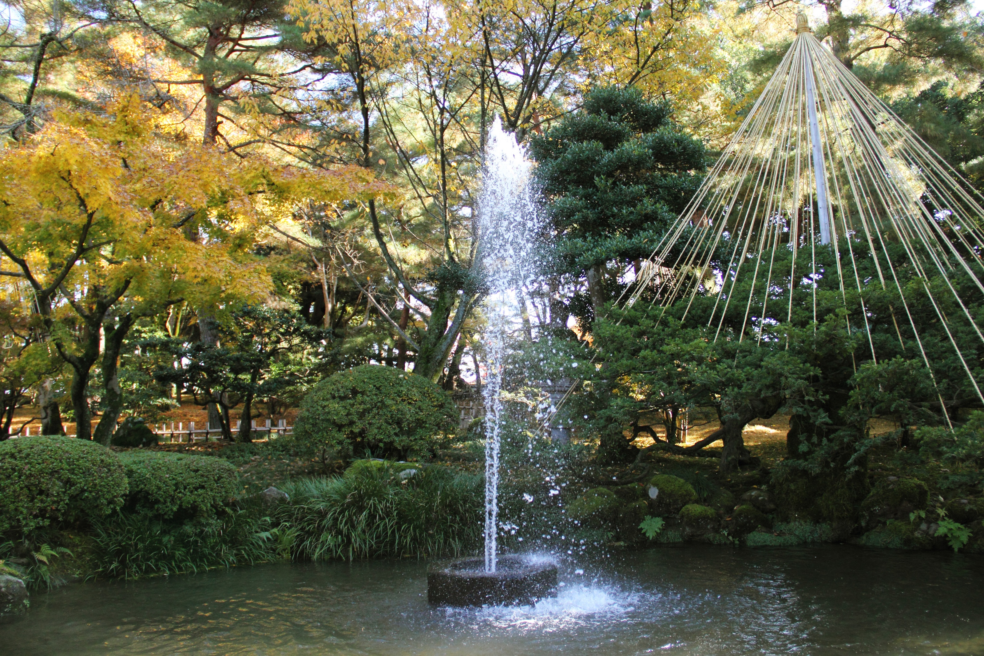 Free download high resolution image - free image free photo free stock image public domain picture -Kenroku-en Garden