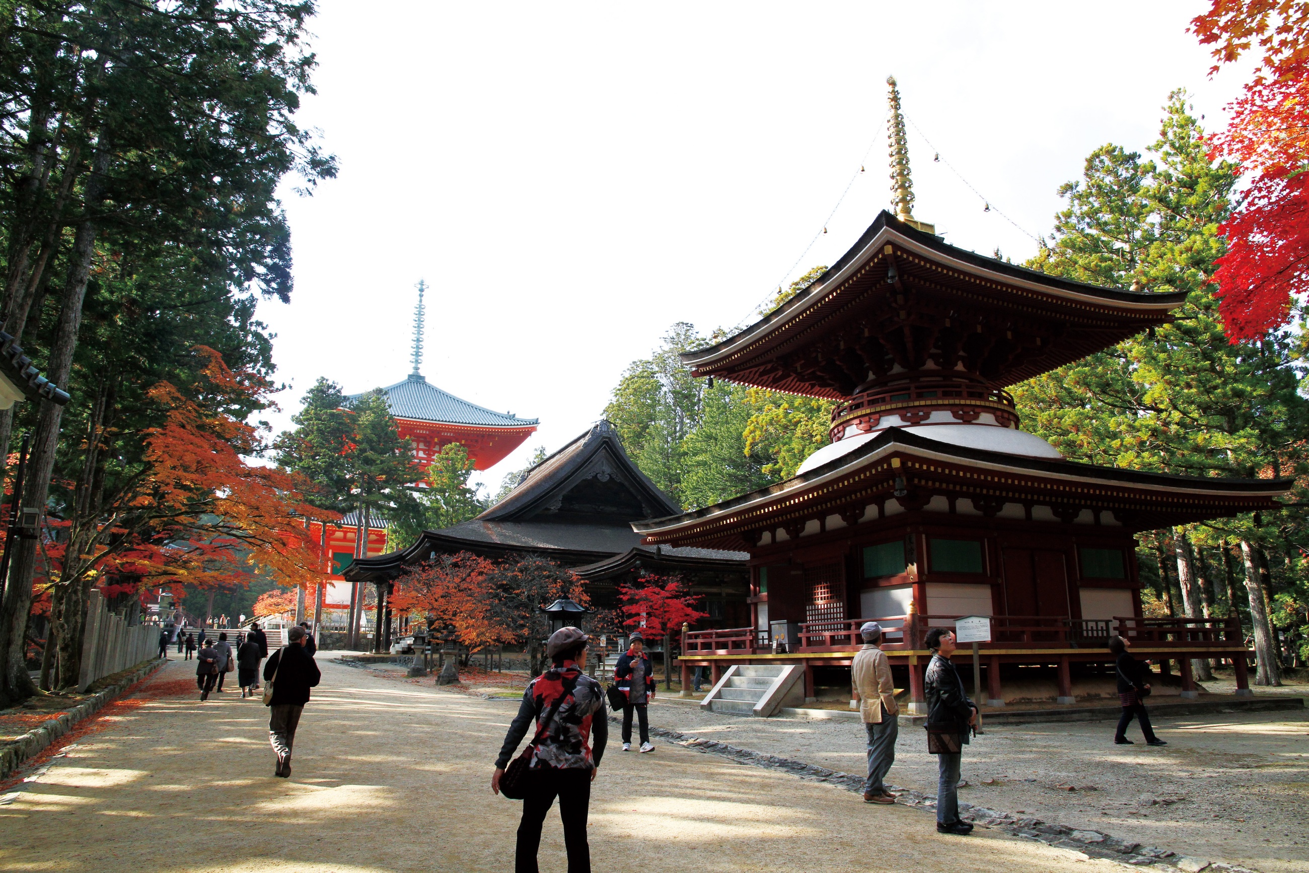 Free download high resolution image - free image free photo free stock image public domain picture -Pagoda in Koyasan,Kongobuji Temple Japan