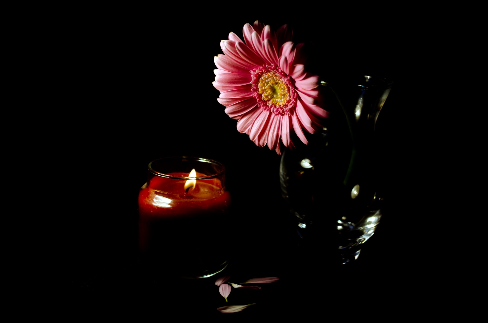 Free download high resolution image - free image free photo free stock image public domain picture -Flower And Candle