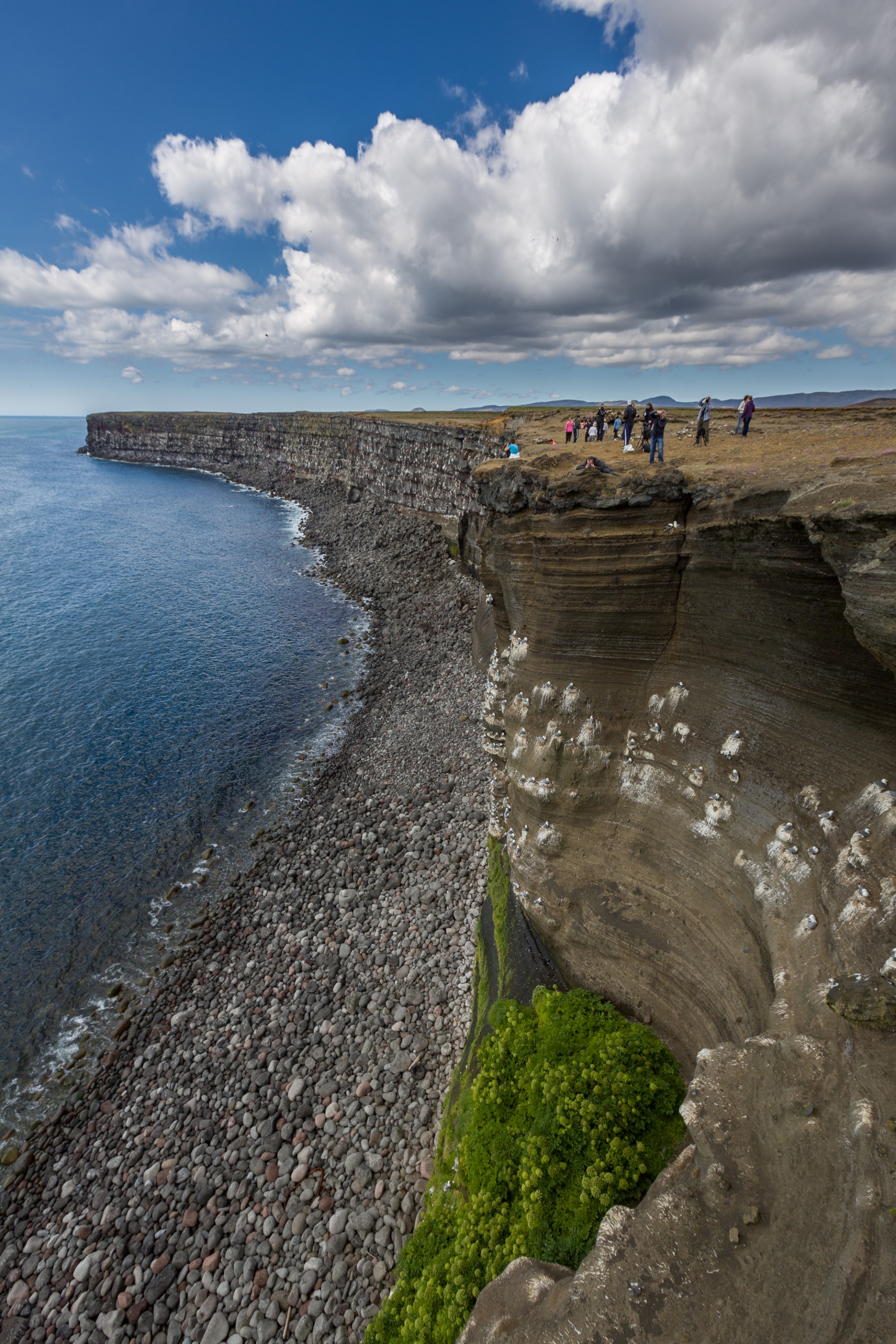 Free download high resolution image - free image free photo free stock image public domain picture -rocky cliff overlooking the sea in Vik in Iceland