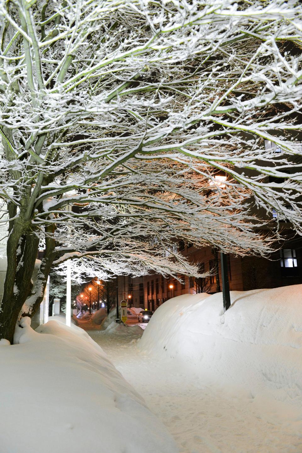 Free download high resolution image - free image free photo free stock image public domain picture  Otaru Snow Light Path Festival