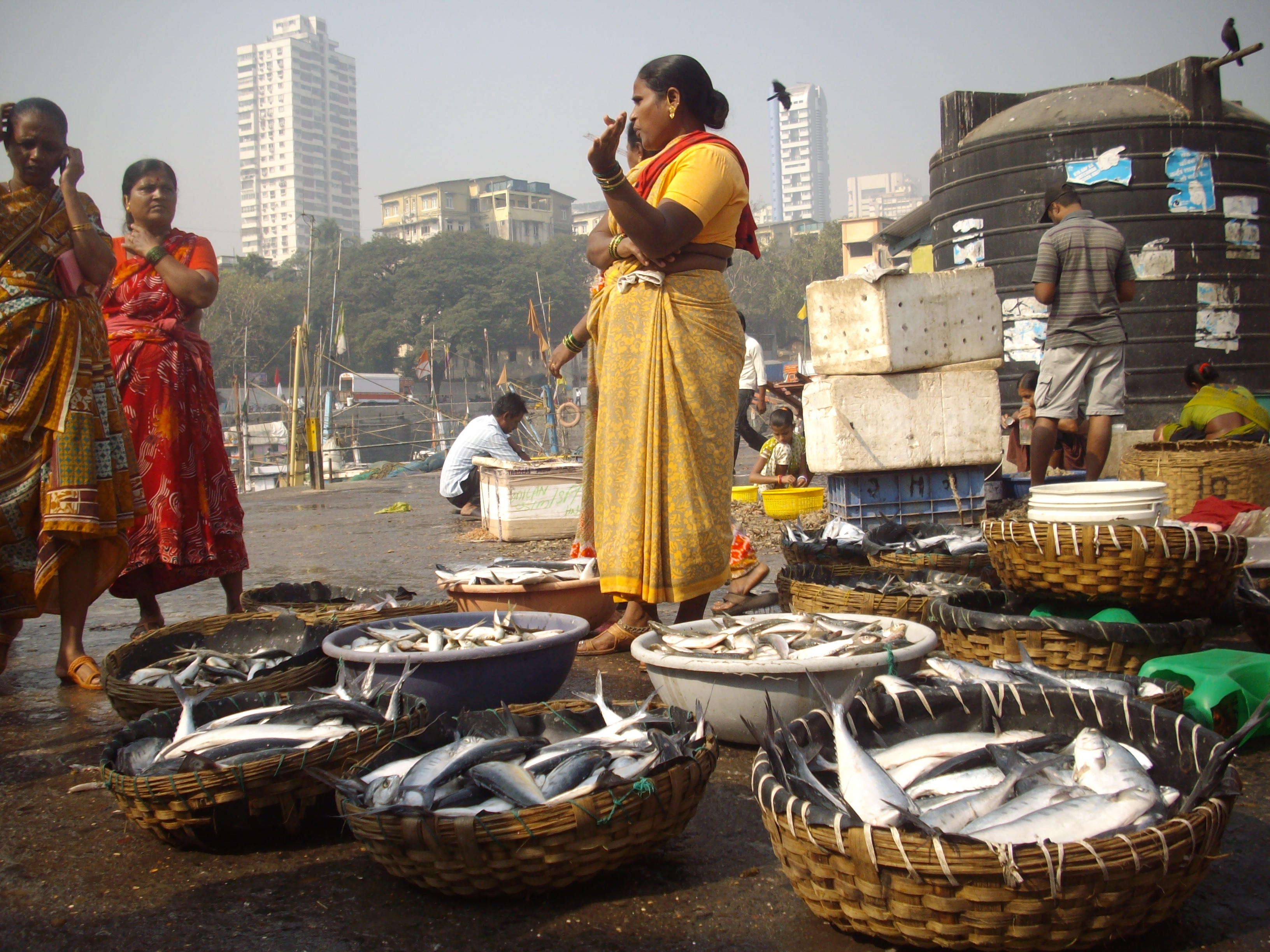 Free download high resolution image - free image free photo free stock image public domain picture -Fish Auction at Sassoon Docks in Mumbai