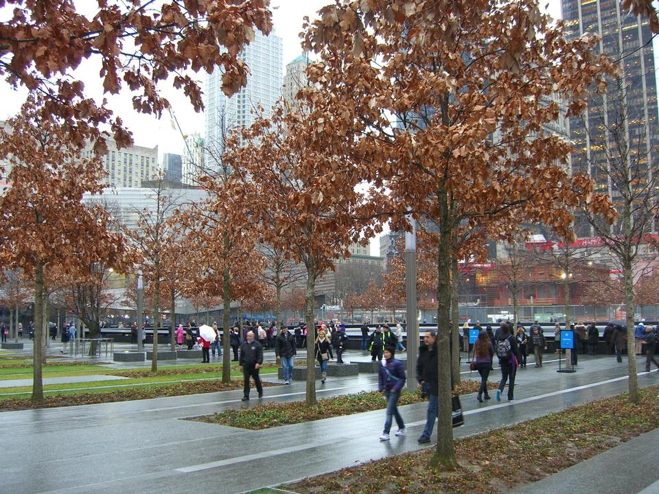 Free download high resolution image - free image free photo free stock image public domain picture  National September 11 Memorial & Museum in Manhattan