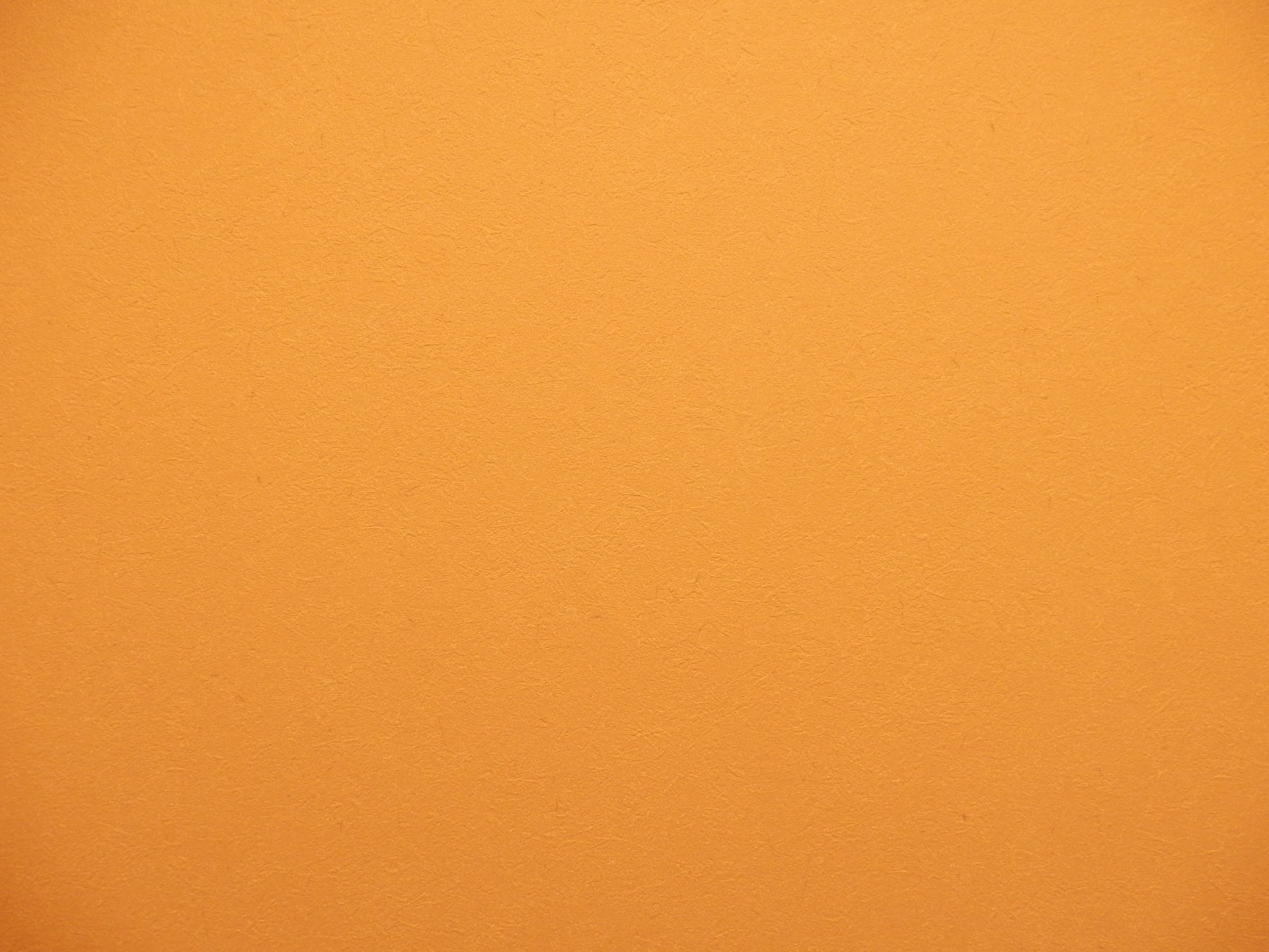 Free download high resolution image - free image free photo free stock image public domain picture -Orange Wall Texture