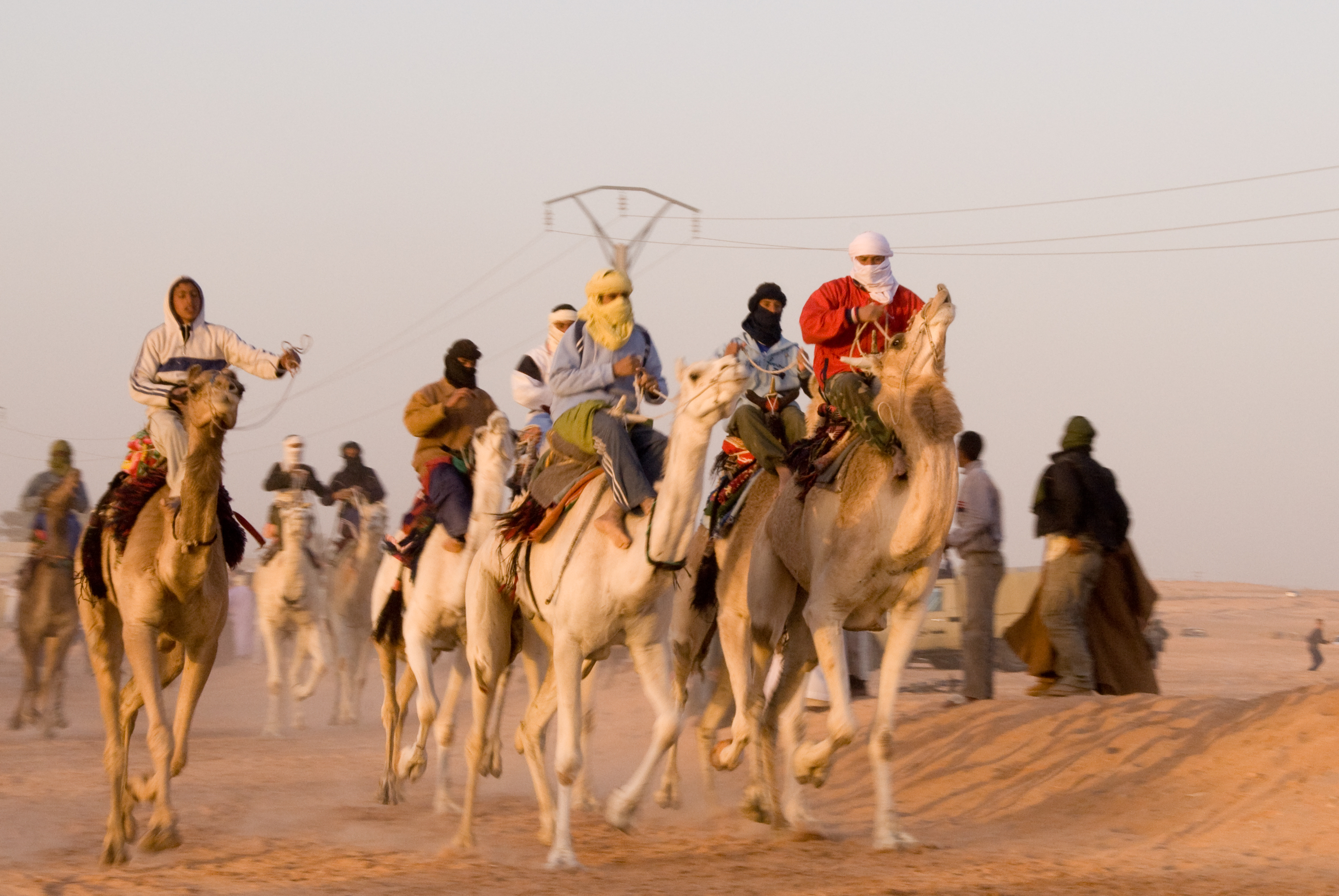 Free download high resolution image - free image free photo free stock image public domain picture -A Camel Race at Ouargla, south of Algeria