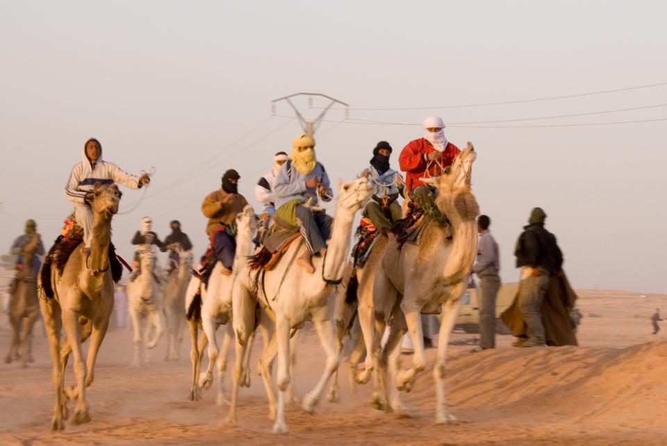 Free download high resolution image - free image free photo free stock image public domain picture  A Camel Race at Ouargla, south of Algeria