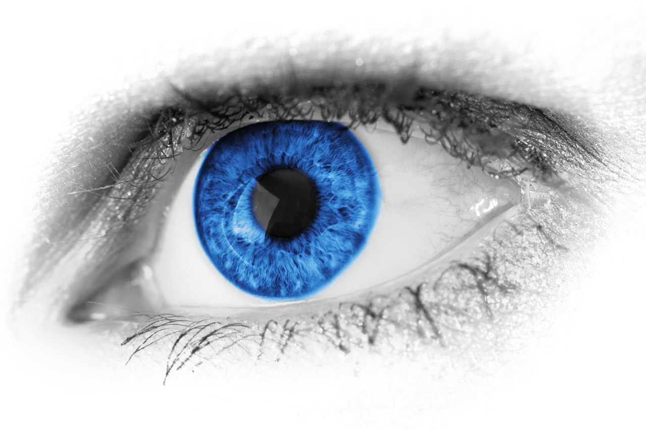 Free download high resolution image - free image free photo free stock image public domain picture -Blue Eye Detail