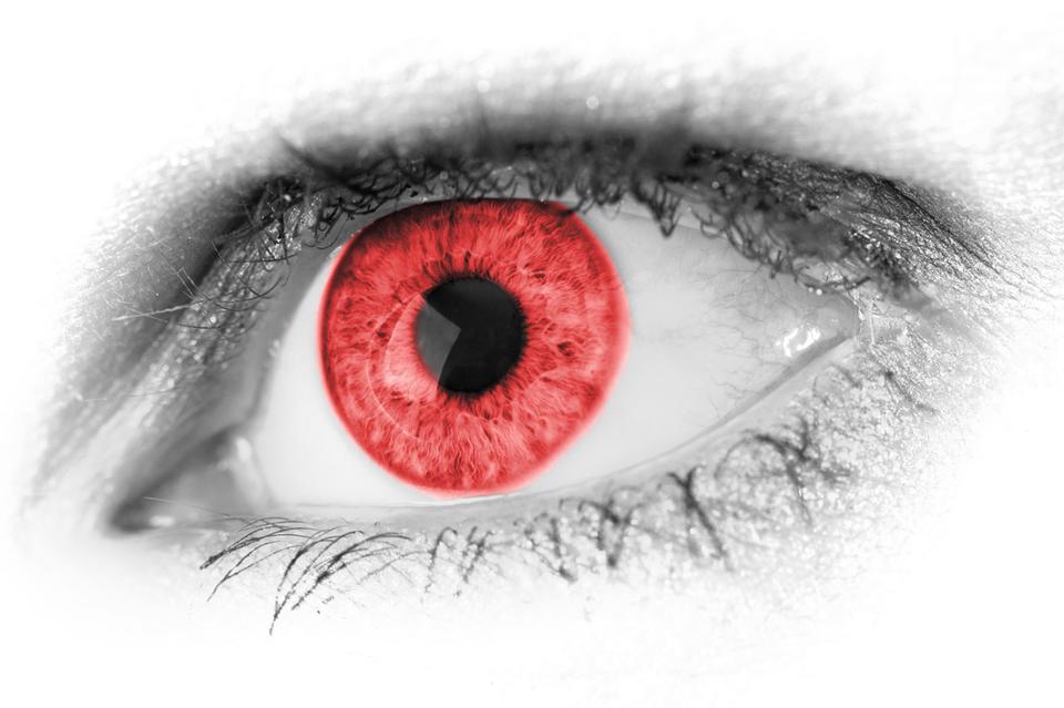 Free download high resolution image - free image free photo free stock image public domain picture  Red Eye Detail