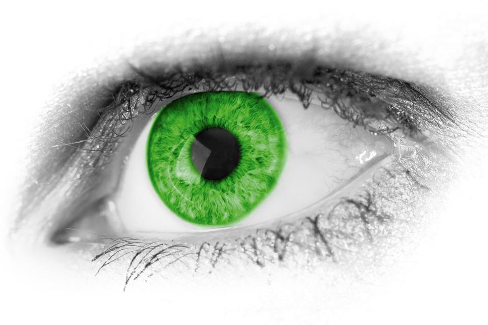 Free download high resolution image - free image free photo free stock image public domain picture  Green Eye Detail