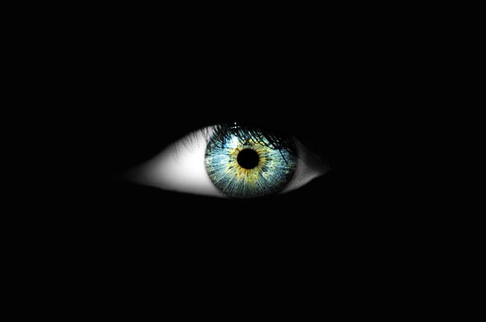 Free download high resolution image - free image free photo free stock image public domain picture  Eye