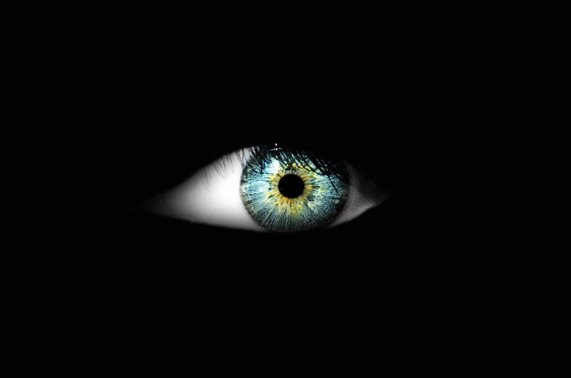 Free download high resolution image - free image free photo free stock image public domain picture -Eye