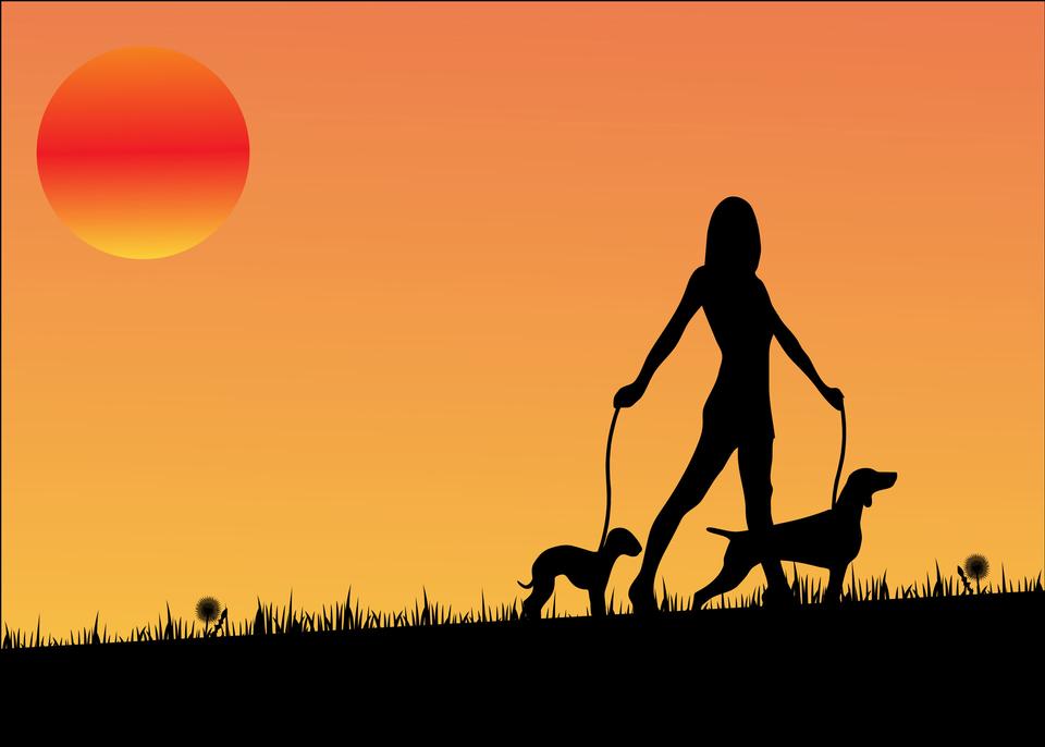 Free download high resolution image - free image free photo free stock image public domain picture  Woman Dog Walking