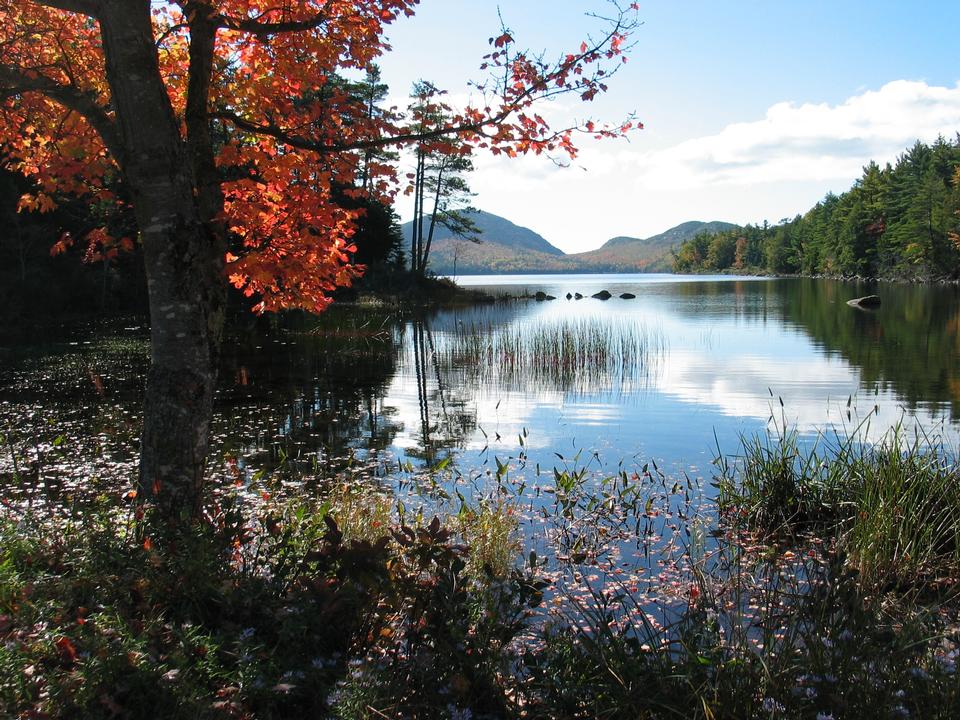 Free download high resolution image - free image free photo free stock image public domain picture  Autumn colors at Eagle Lake Acadia National Park