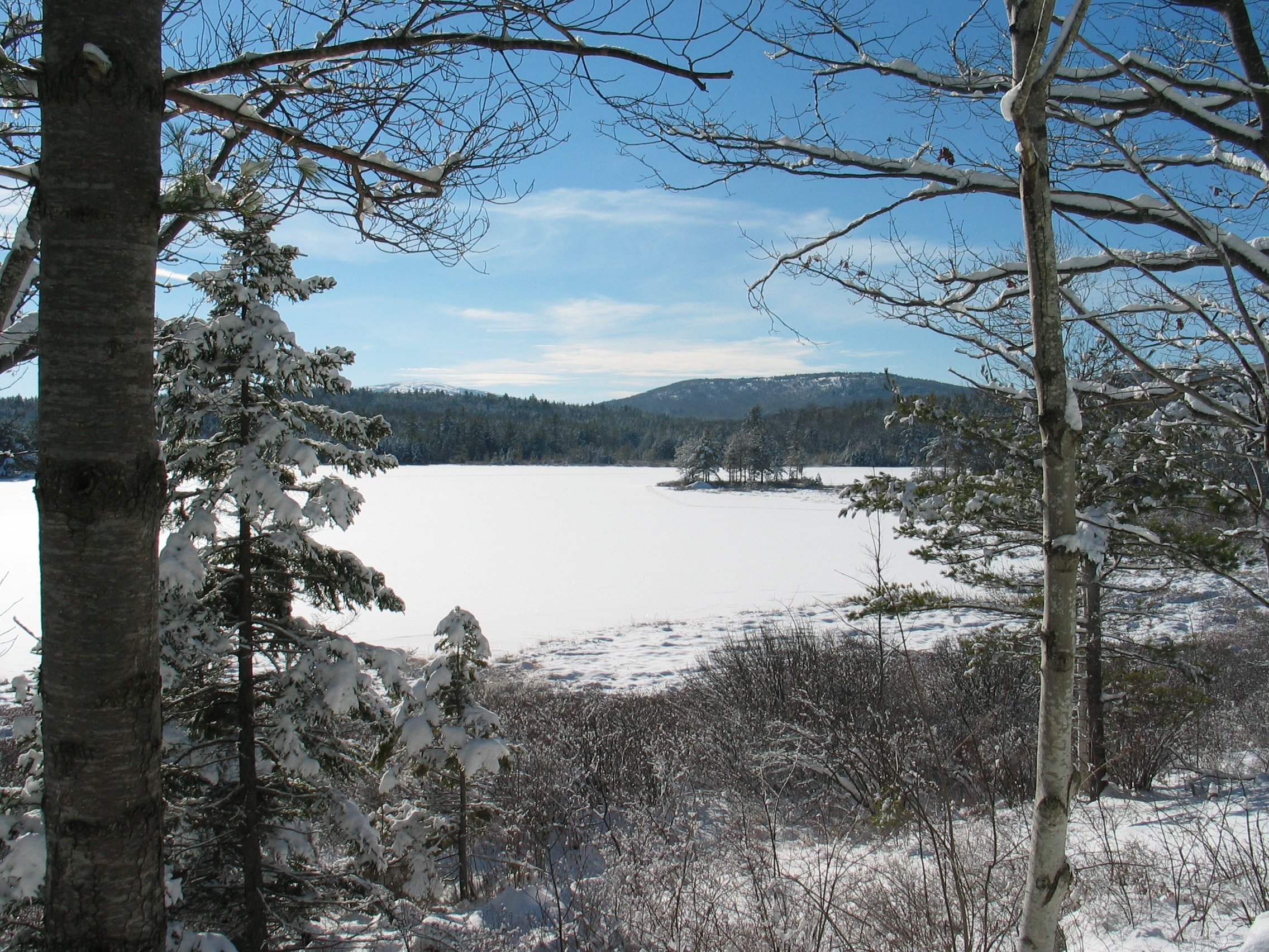 Free download high resolution image - free image free photo free stock image public domain picture -Acadia's winter beauty