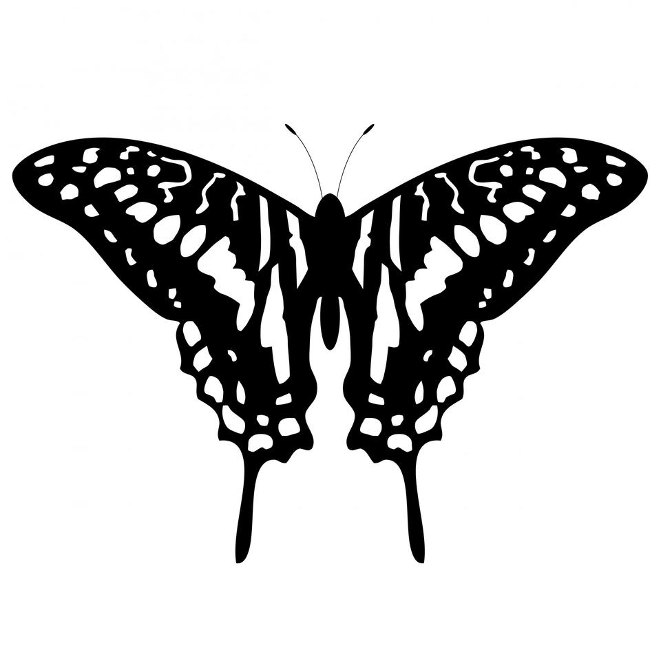 Free download high resolution image - free image free photo free stock image public domain picture  Butterfly Tattoo Clipart