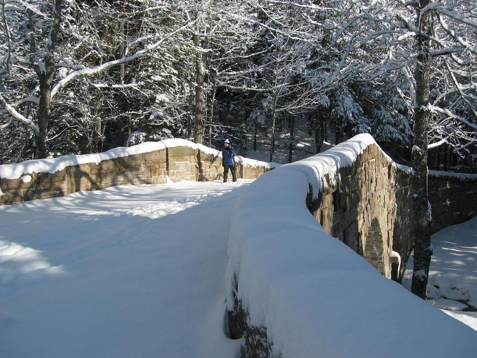 Free download high resolution image - free image free photo free stock image public domain picture  Cross-Country Skiing Acadia National Park