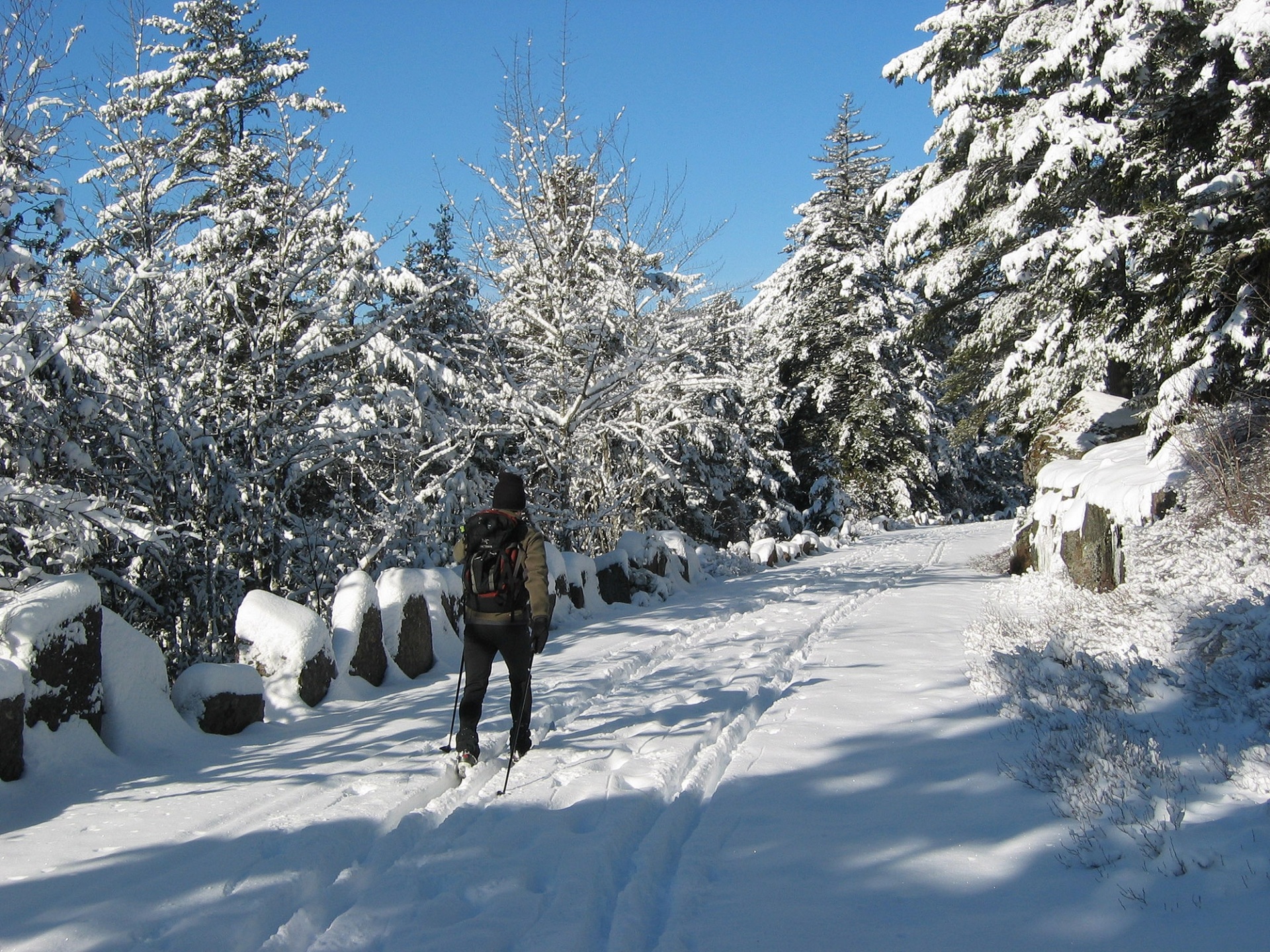 Free download high resolution image - free image free photo free stock image public domain picture -Cross-Country Skiing Acadia National Park