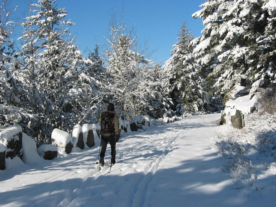 Free download high resolution image - free image free photo free stock image public domain picture  Cross-Country Skiing Acadia National Park