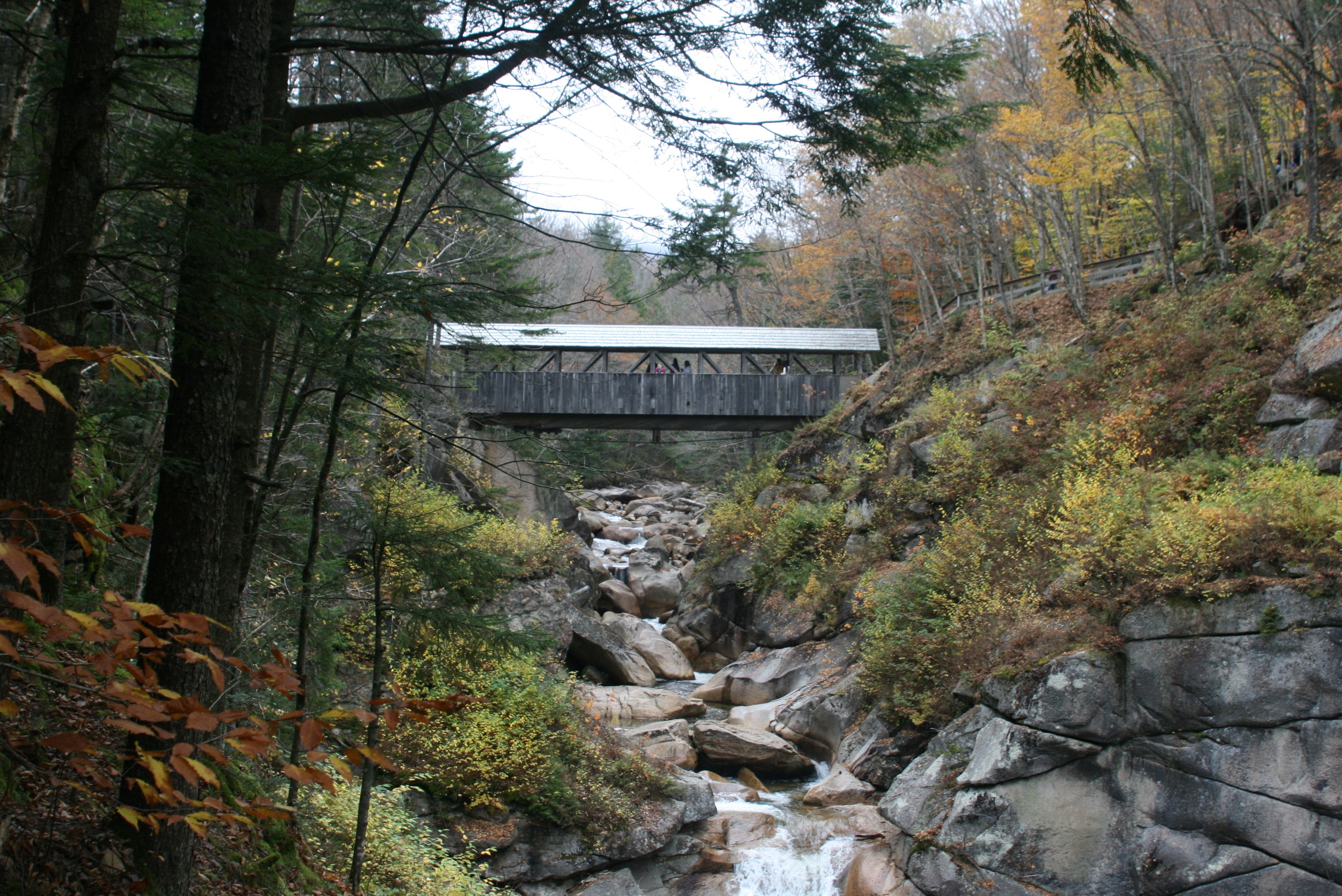 Free download high resolution image - free image free photo free stock image public domain picture -New Hampshire autumn stream in the white mountains area