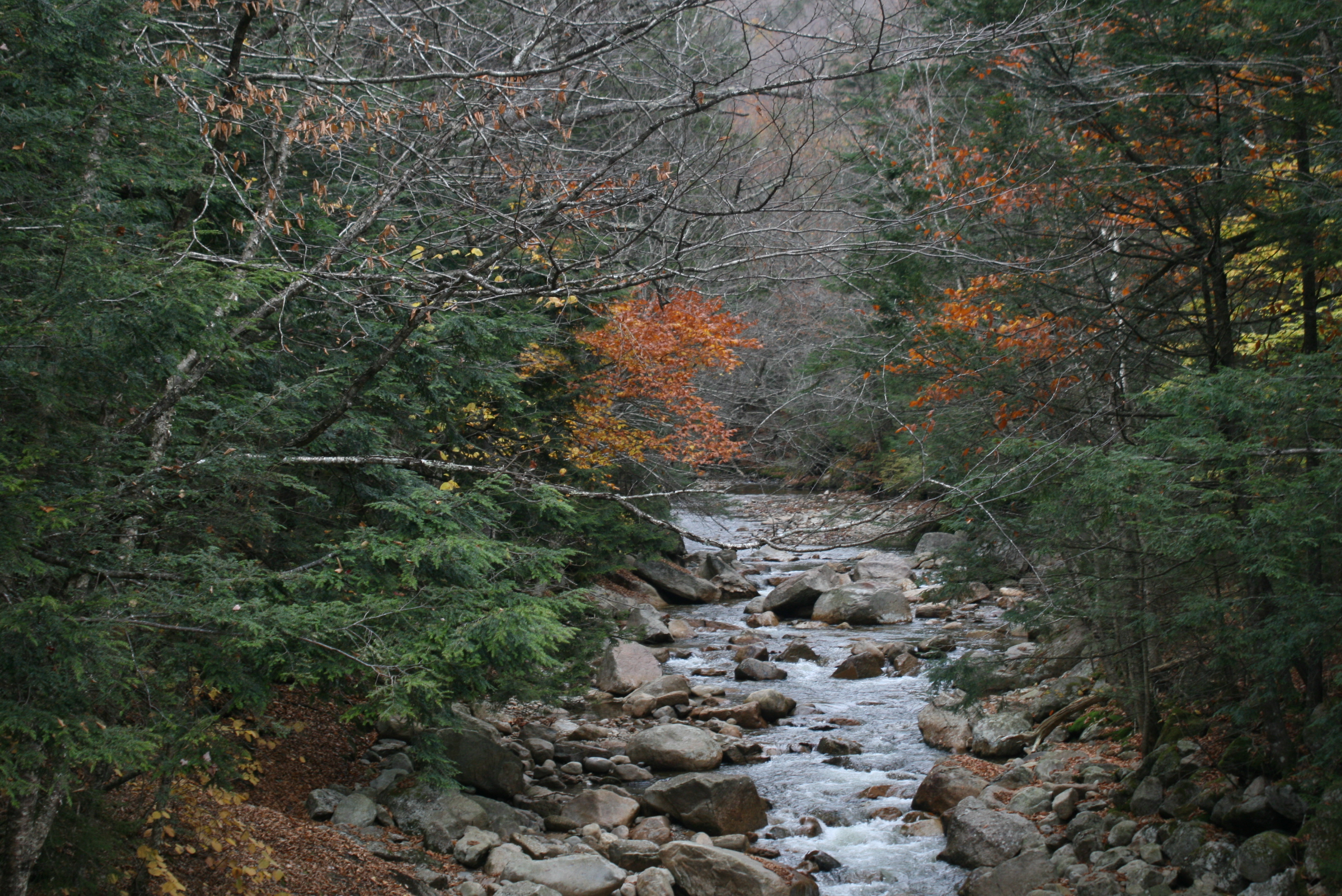 Free download high resolution image - free image free photo free stock image public domain picture -New Hampshire autumn stream in the white mountains area