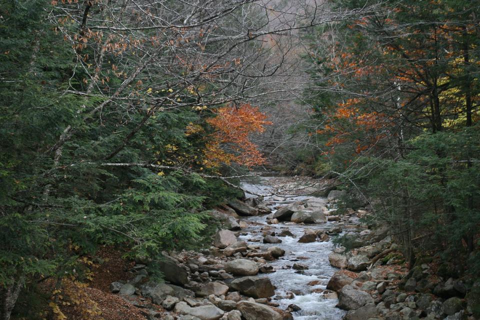 Free download high resolution image - free image free photo free stock image public domain picture  New Hampshire autumn stream in the white mountains area