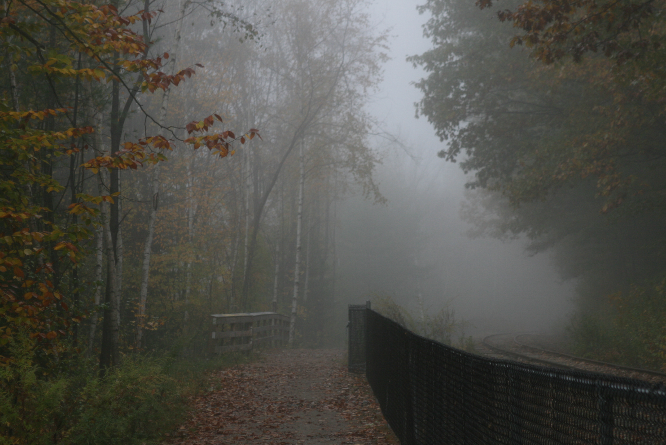 Free download high resolution image - free image free photo free stock image public domain picture -The White Mountains of New Hampshire in the fall