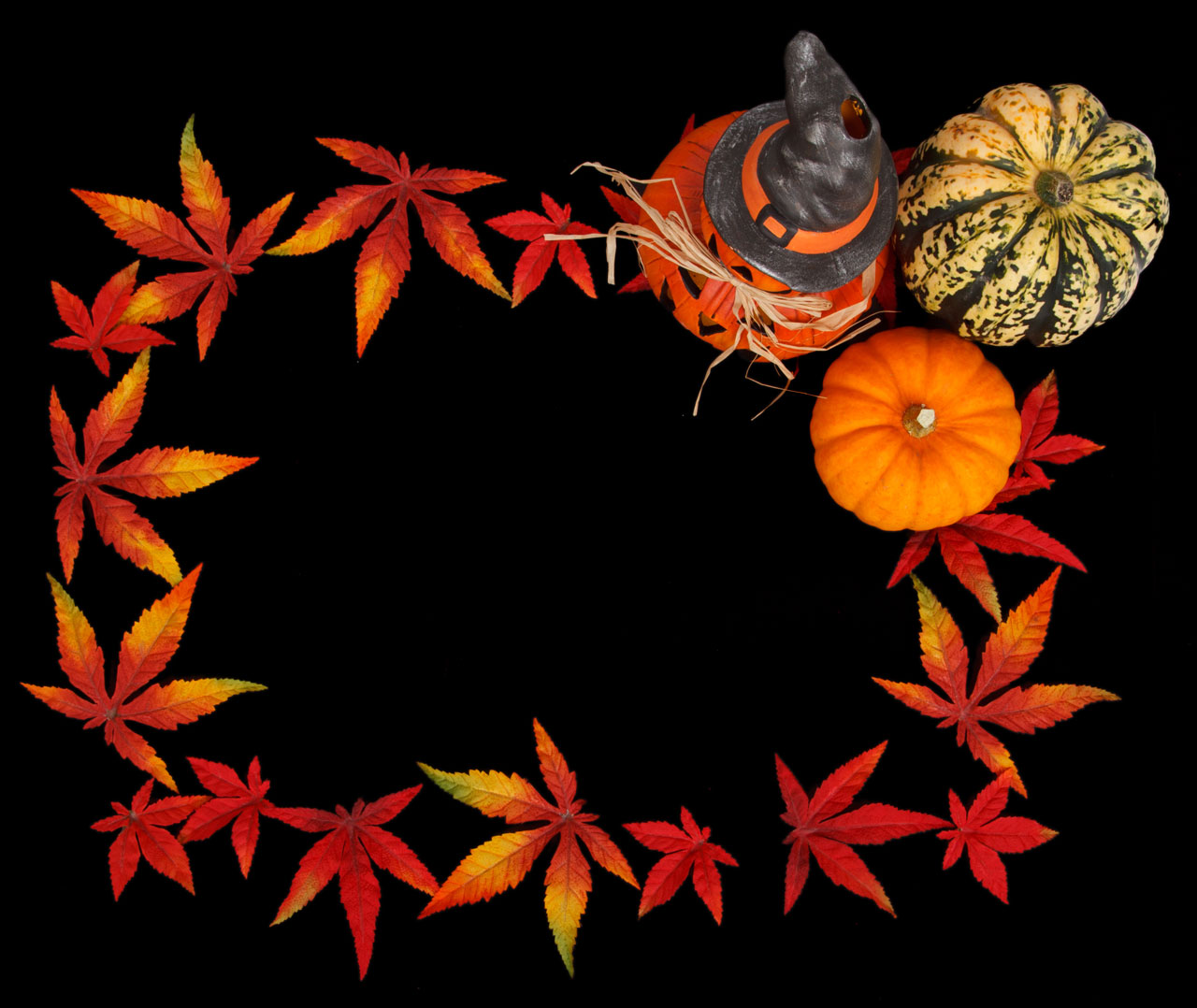 Free download high resolution image - free image free photo free stock image public domain picture -Halloween Frame