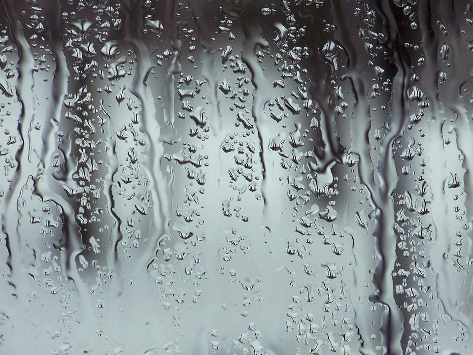 Free download high resolution image - free image free photo free stock image public domain picture  Rain On Window