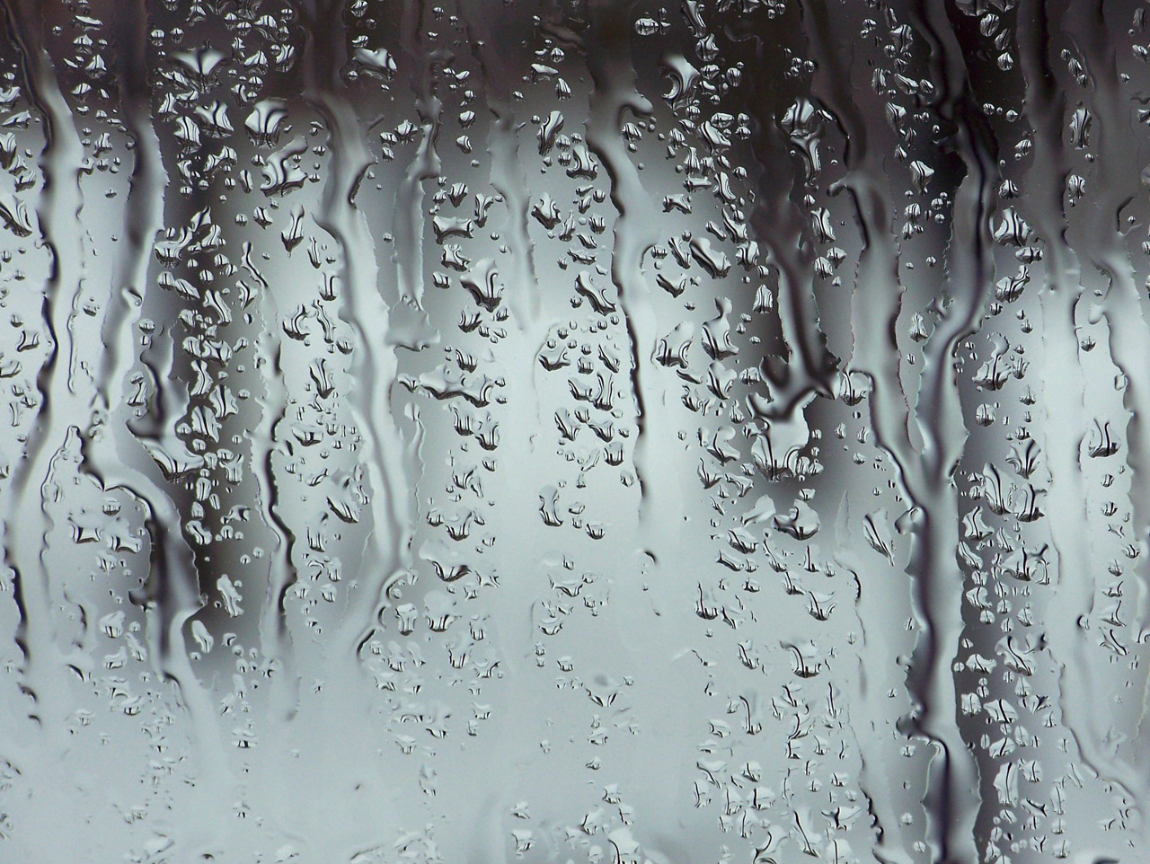 Free download high resolution image - free image free photo free stock image public domain picture -Rain On Window