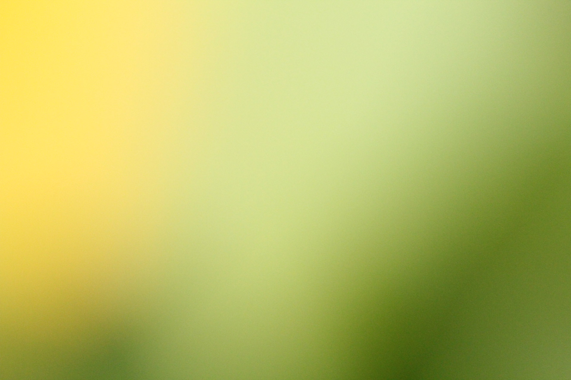 Free download high resolution image - free image free photo free stock image public domain picture -Yellow green blur background