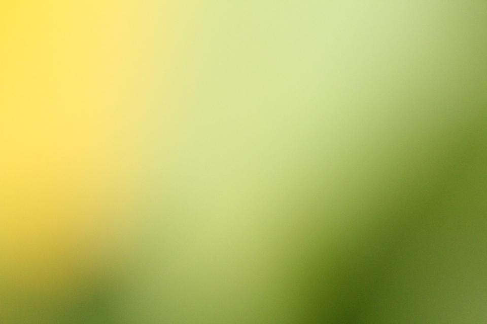 Free download high resolution image - free image free photo free stock image public domain picture  Yellow green blur background