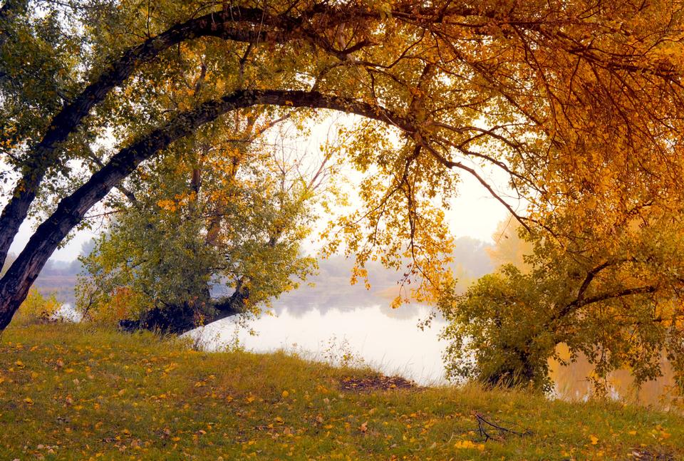 Free download high resolution image - free image free photo free stock image public domain picture  Indian Summer