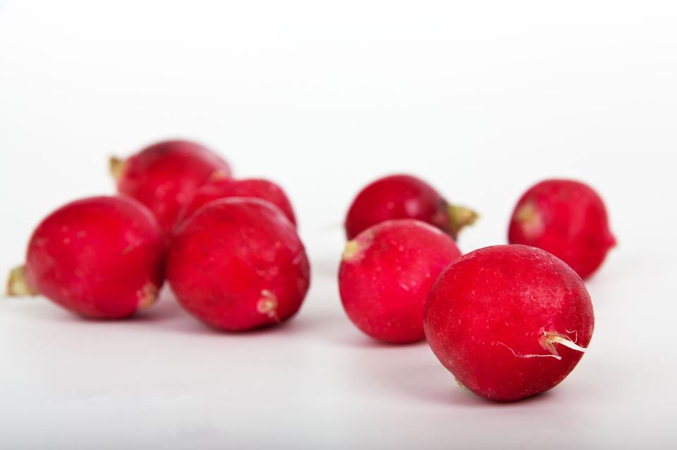 Free download high resolution image - free image free photo free stock image public domain picture  Red radishes on a white background