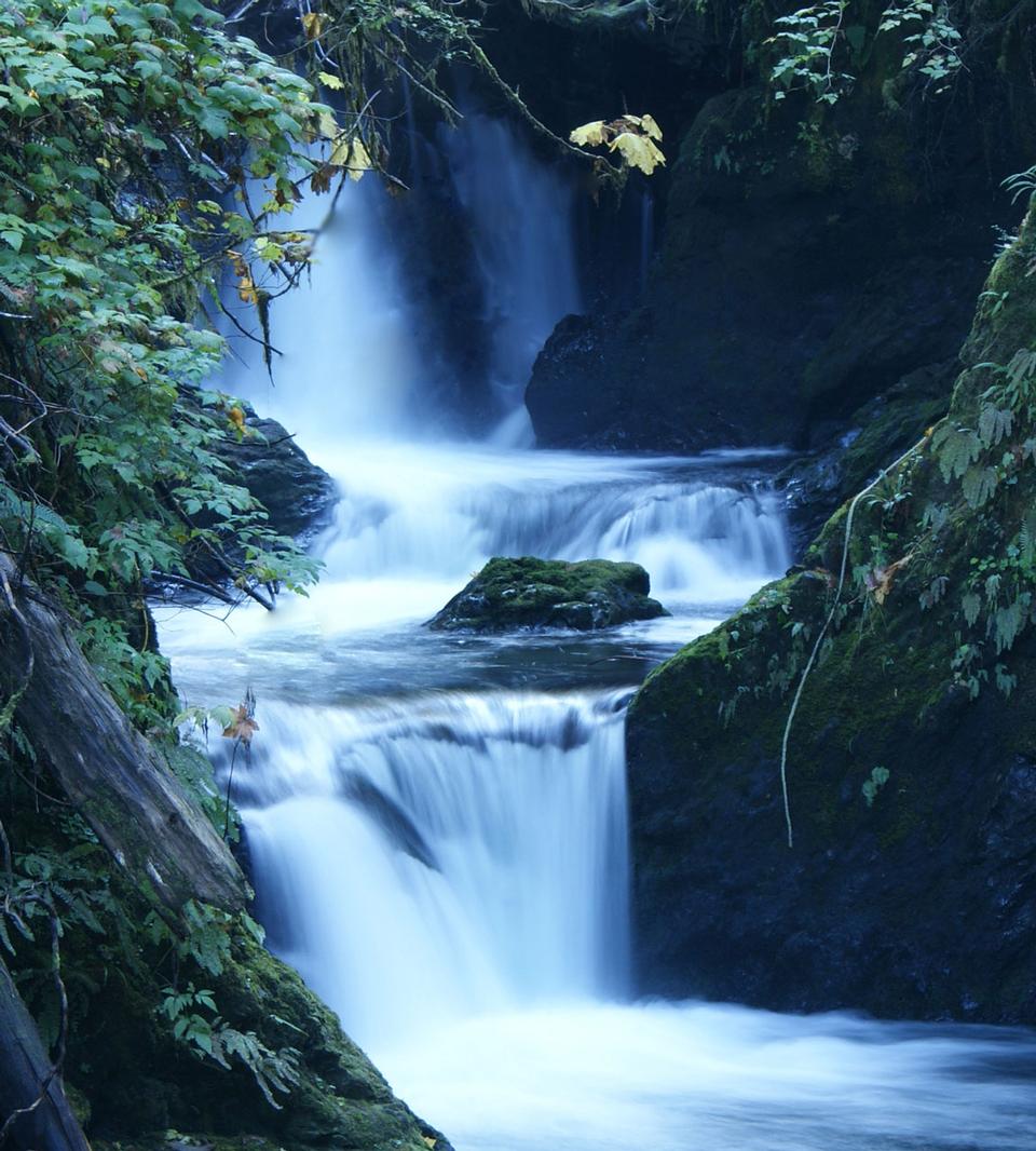 Free download high resolution image - free image free photo free stock image public domain picture  Waterfall in Quinalt near Olympic National Park.