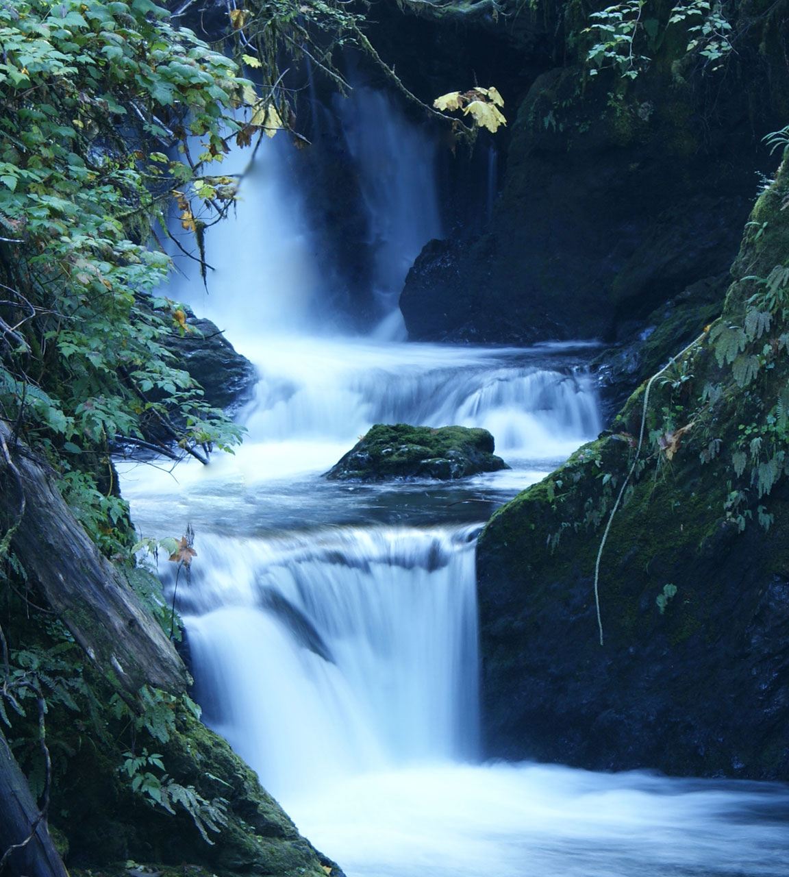 Free download high resolution image - free image free photo free stock image public domain picture -Waterfall in Quinalt near Olympic National Park.