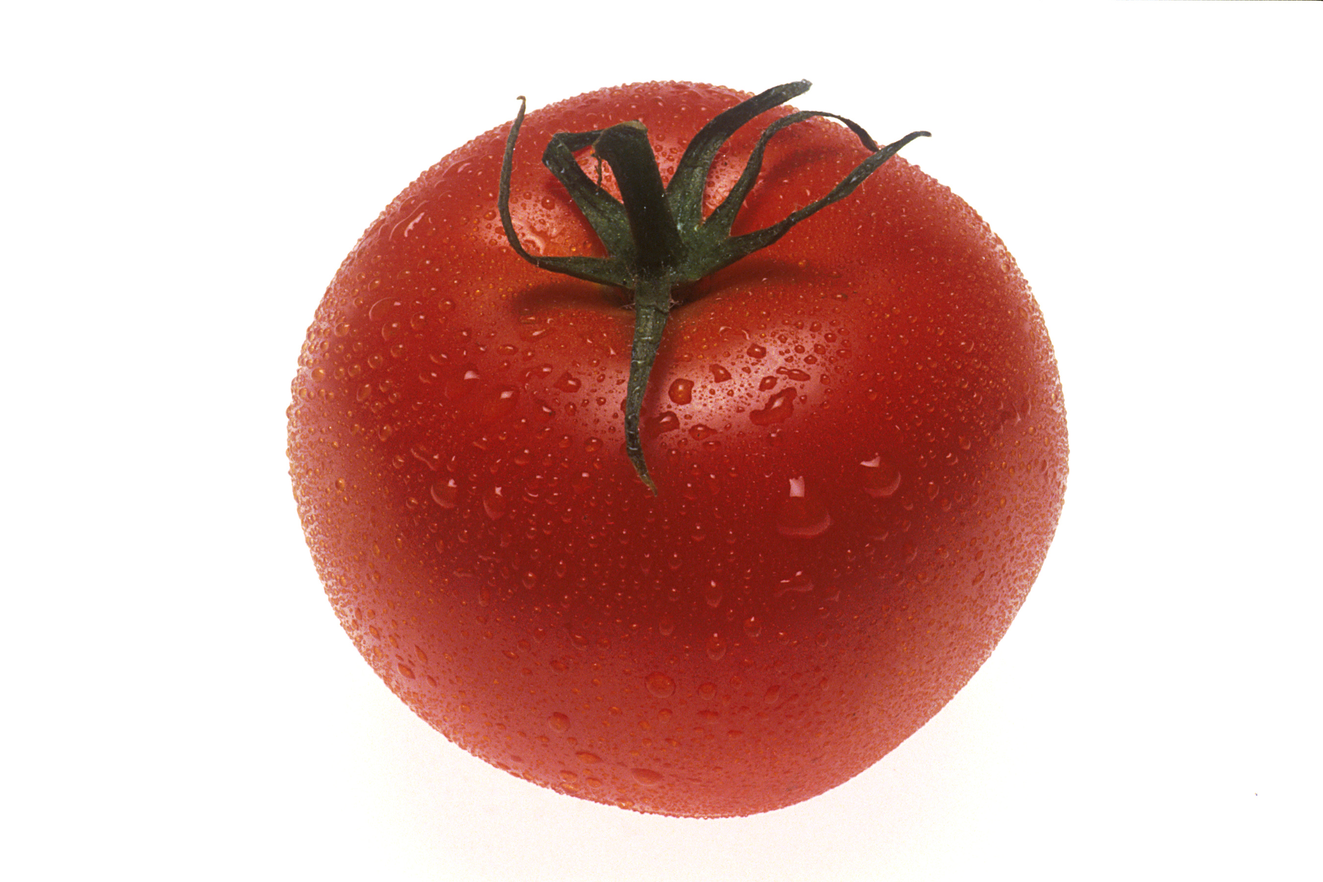 Free download high resolution image - free image free photo free stock image public domain picture -A Whole Red Tomato Isolated On A White Background