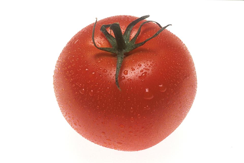 Free download high resolution image - free image free photo free stock image public domain picture  A Whole Red Tomato Isolated On A White Background