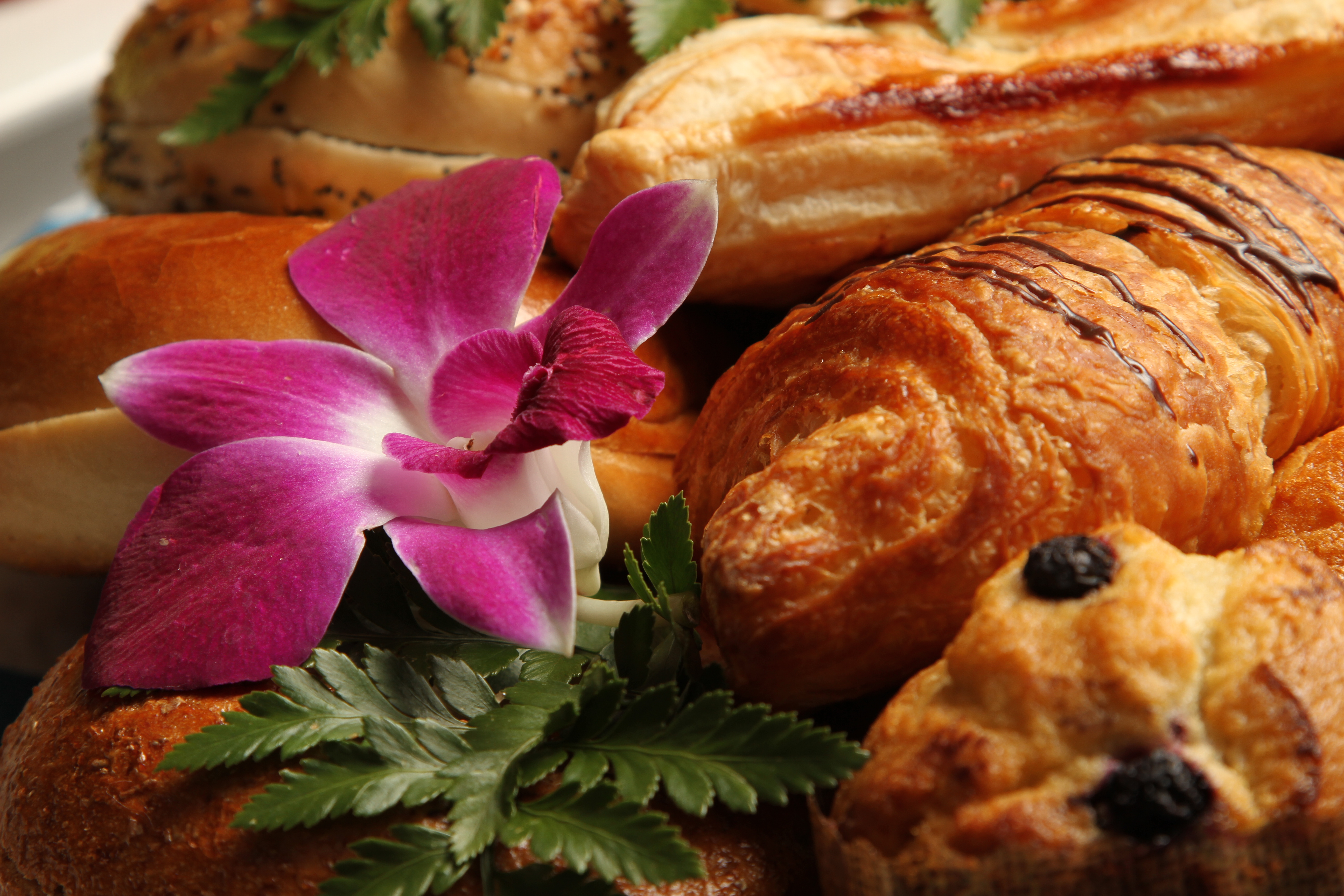 Free download high resolution image - free image free photo free stock image public domain picture -An Assortment Of Breads And Pastries